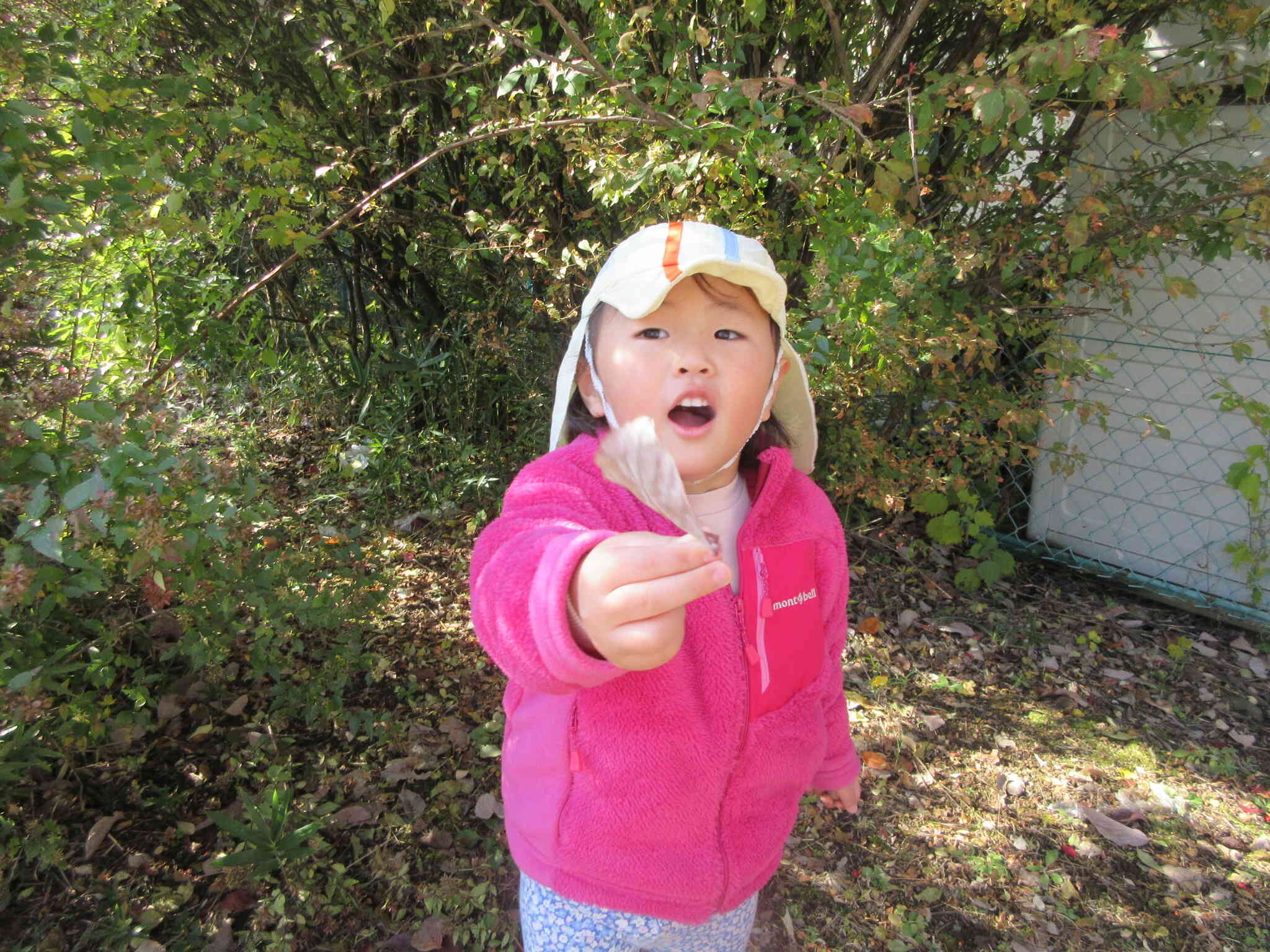 落ち葉でリースを作ろう【2歳児　うさぎ組】