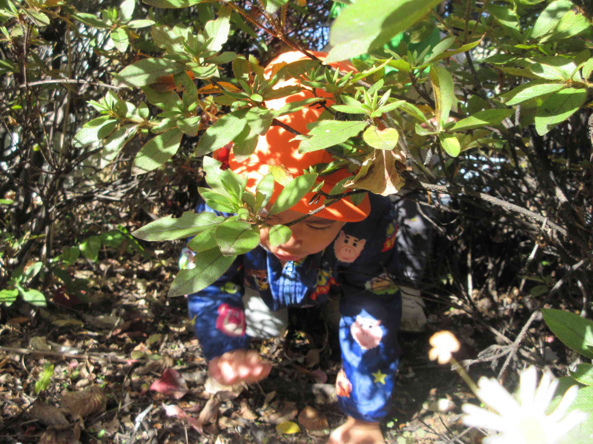 「みてみて～！ここ通れるよ！」