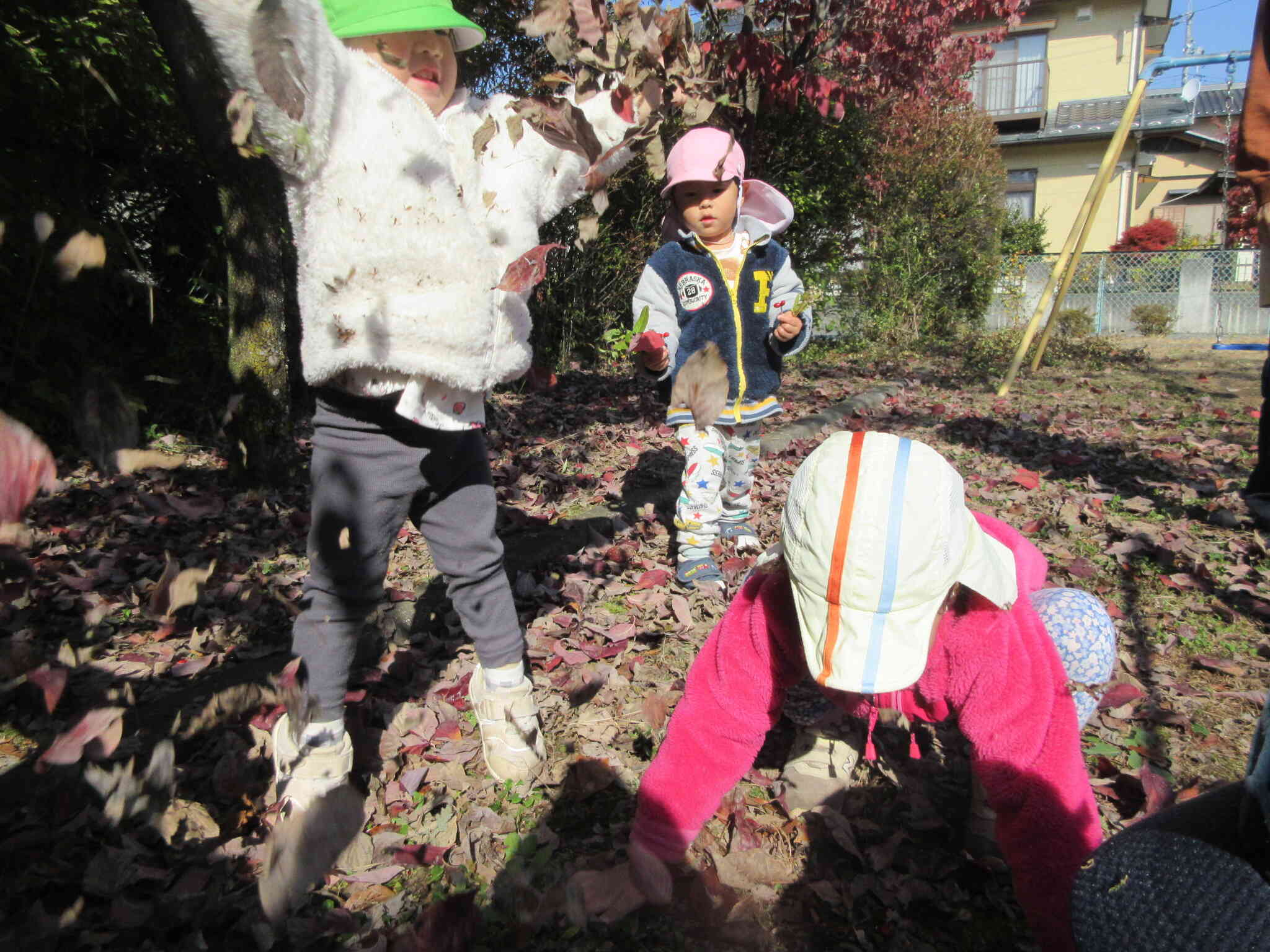 落ち葉の雨、いくよ～！