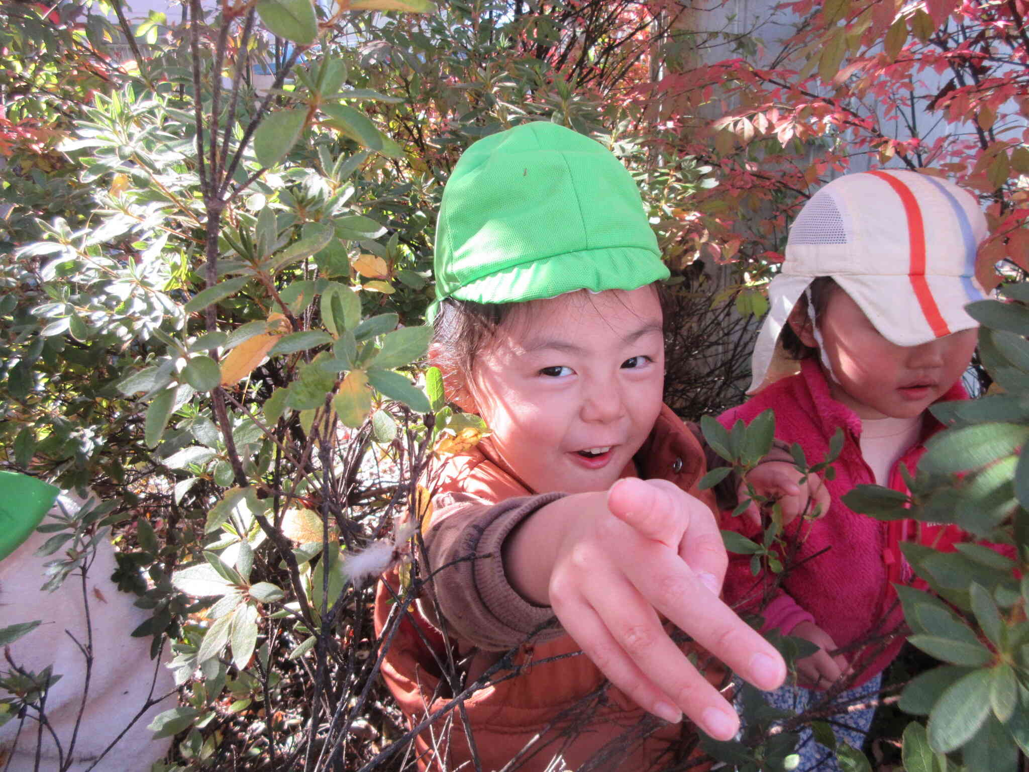 葉っぱの中でかくれんぼ！「み～つけた！」