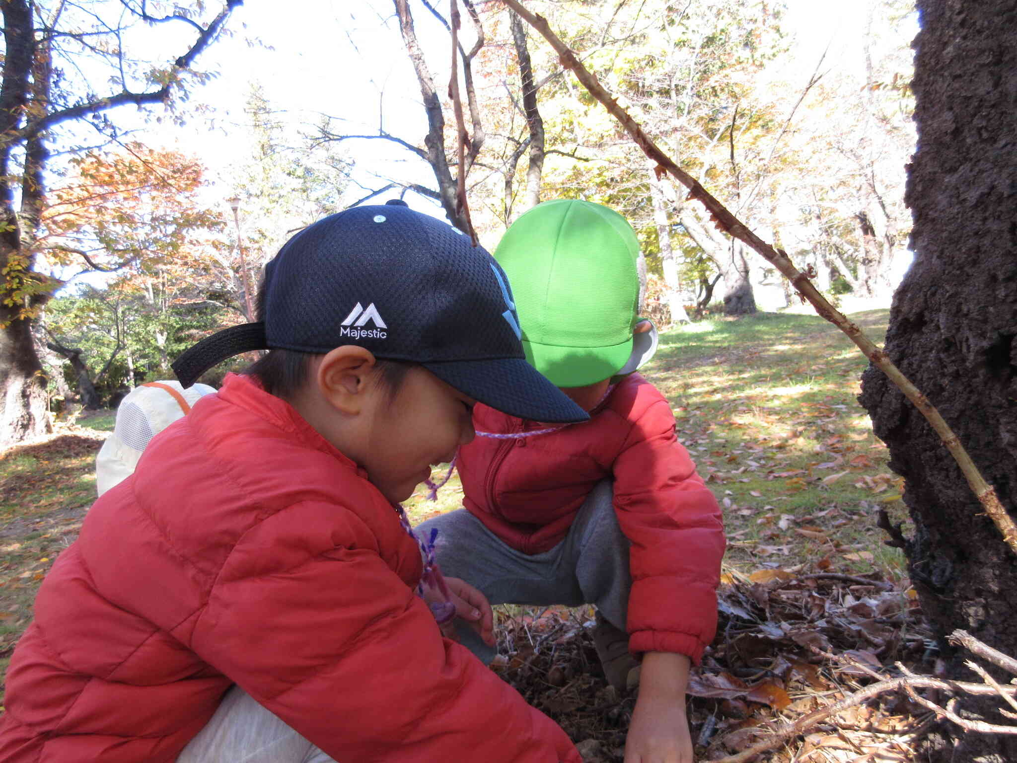 どんぐり、見つけたよ！