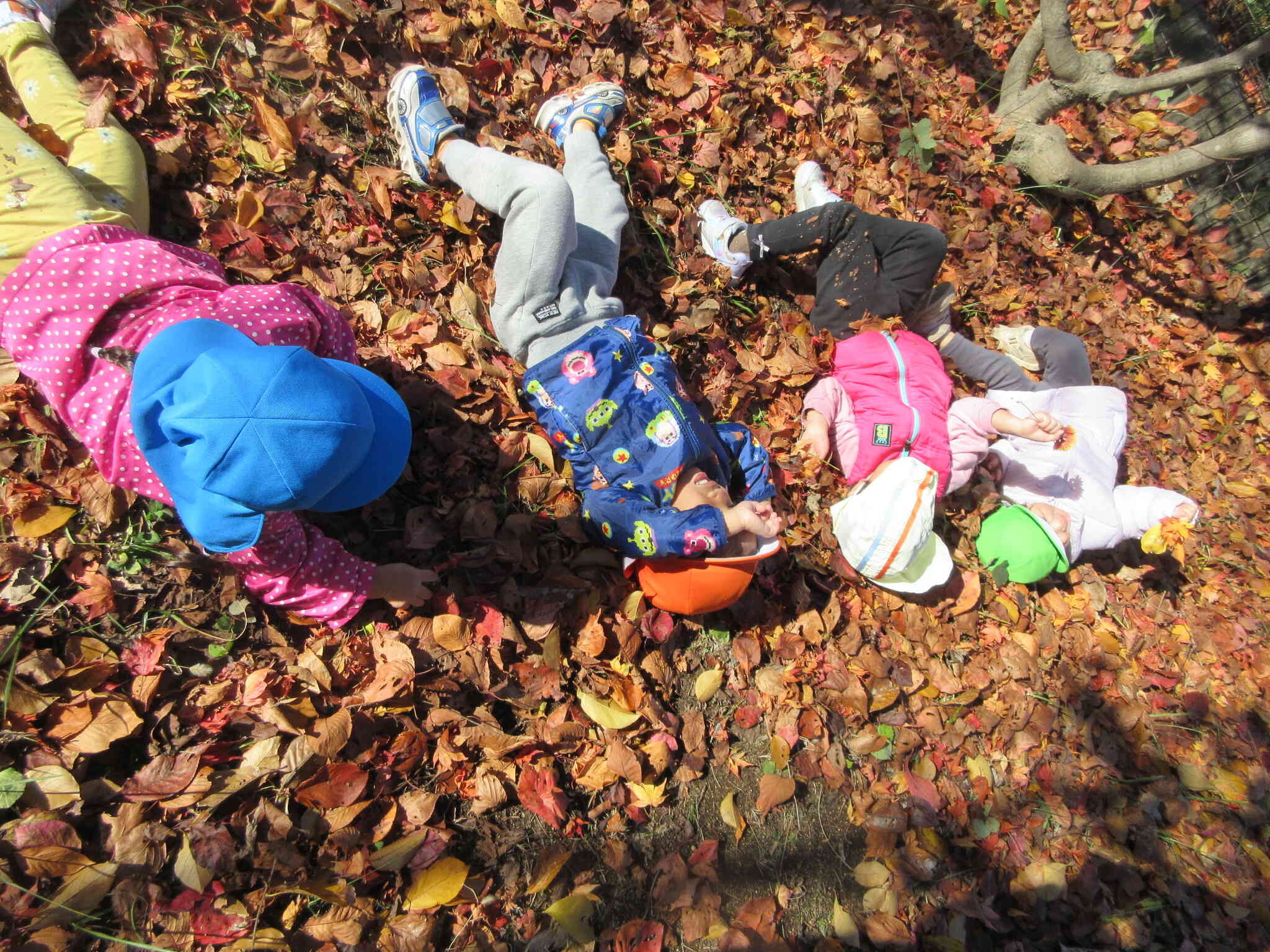落ち葉の上でごろ～ん。ふかふかで気持ちいいね。落ち葉とたくさん仲良くなったね♪