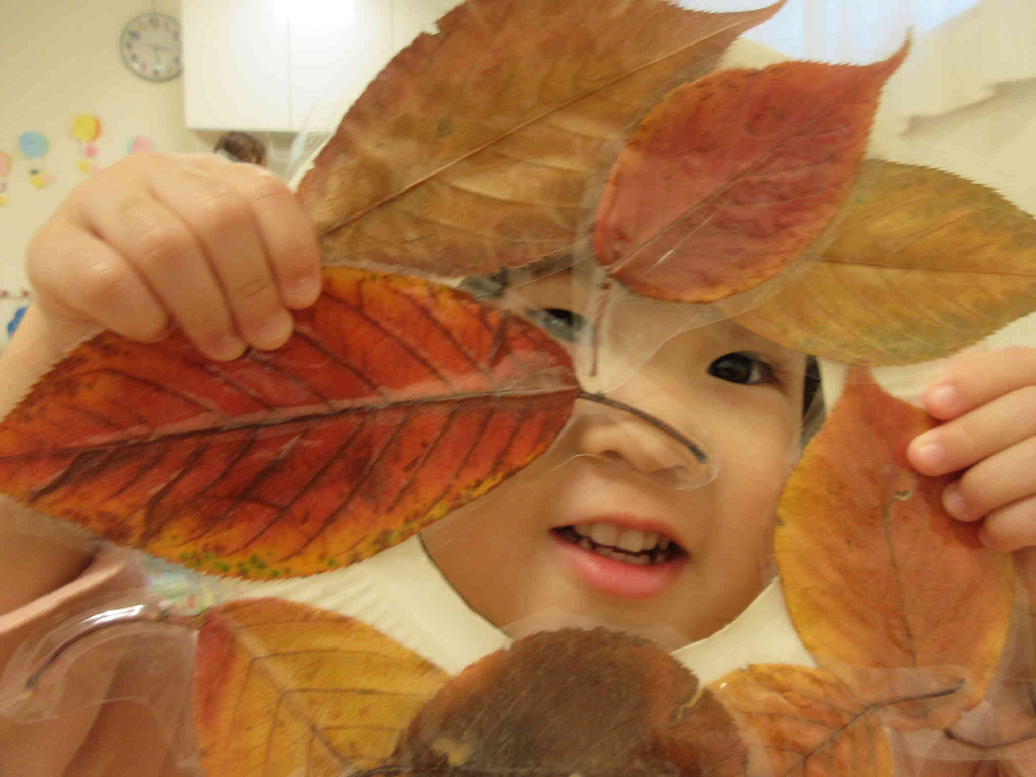 落ち葉のリースの向こうには何が見えるかな？