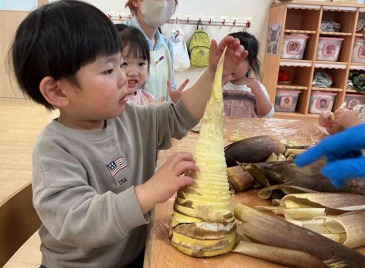 タケノコの皮剥きに挑戦！【食育・２歳児うさぎ組】