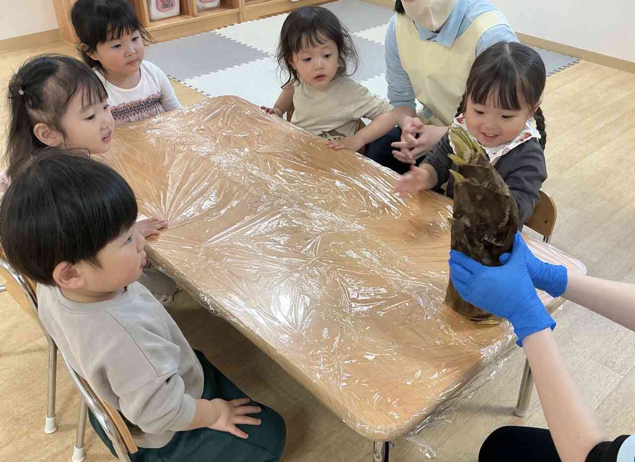 たけのこってこんな形してるんだ！