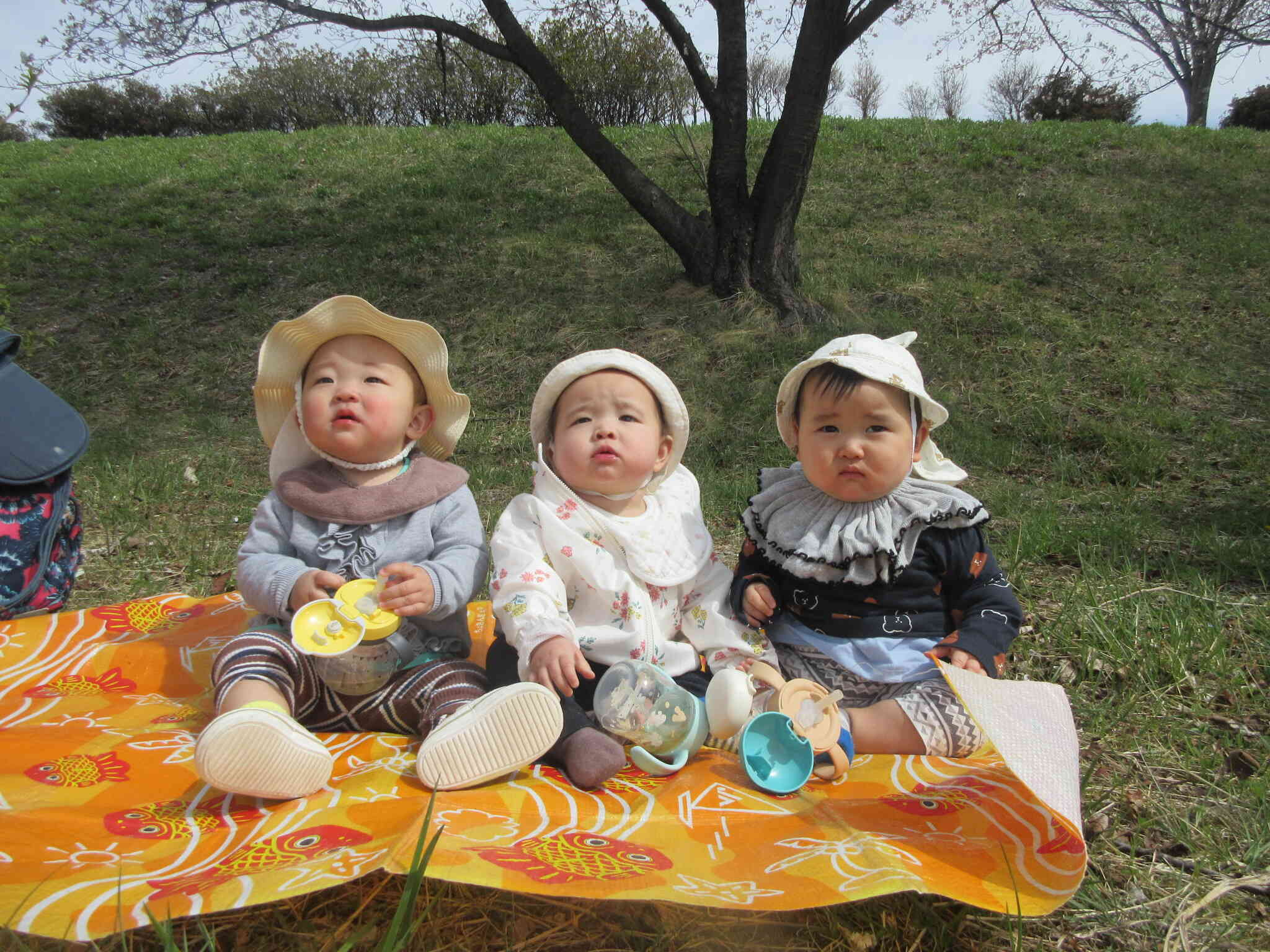 さくら〜さくら〜お花見したよ【0歳児 ひよこ組】