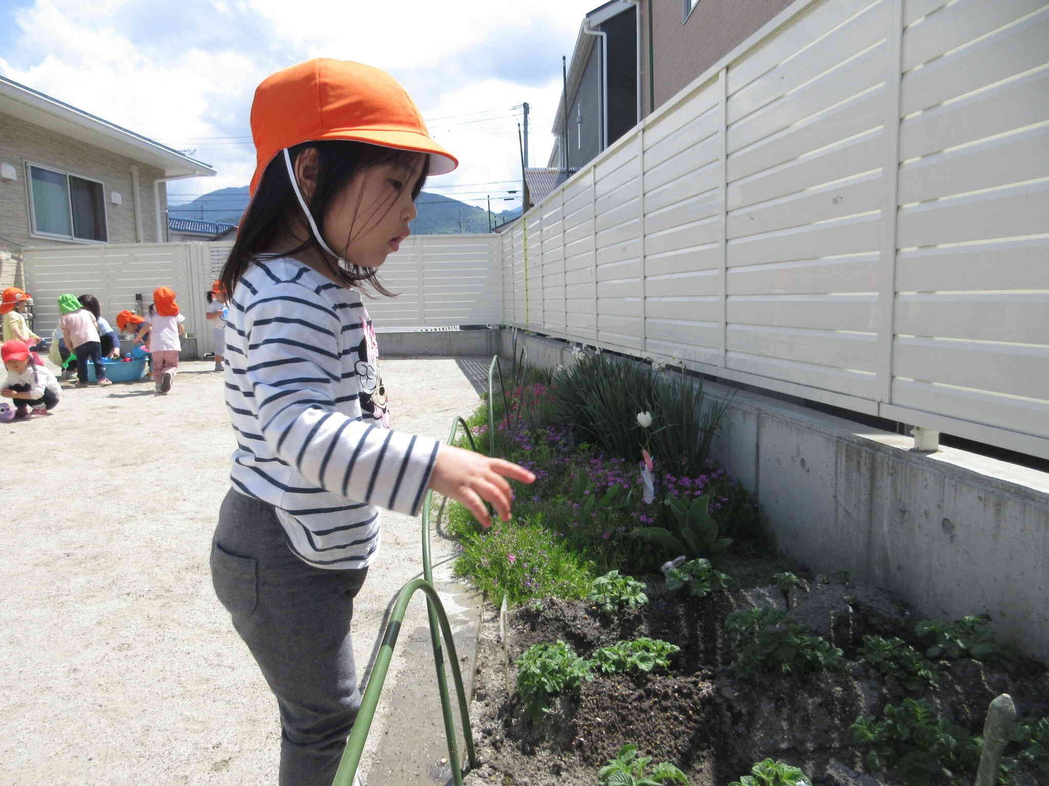 野菜の苗にお水をあげよう【２歳児 うさぎ組】