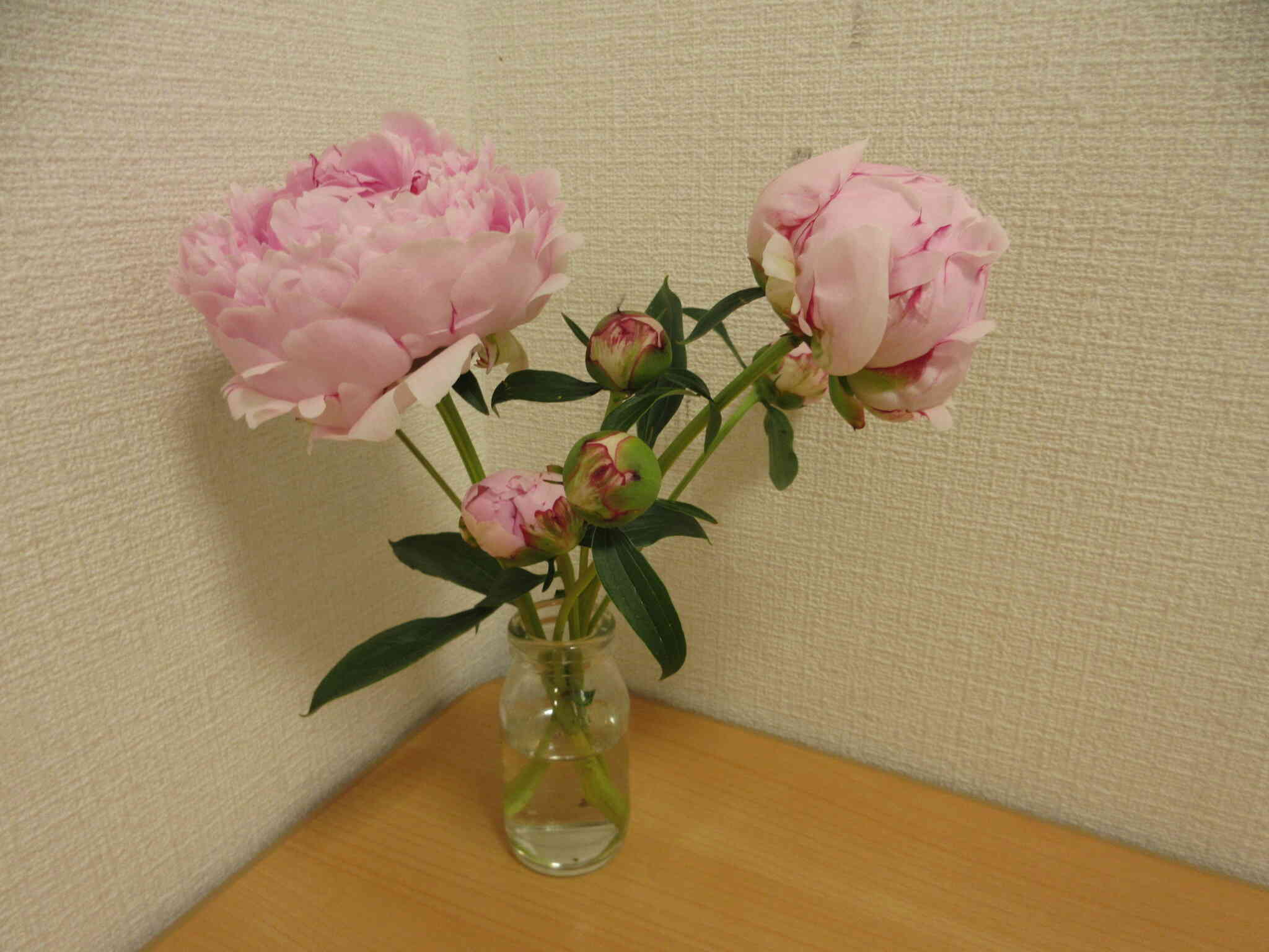 いい かおり♪