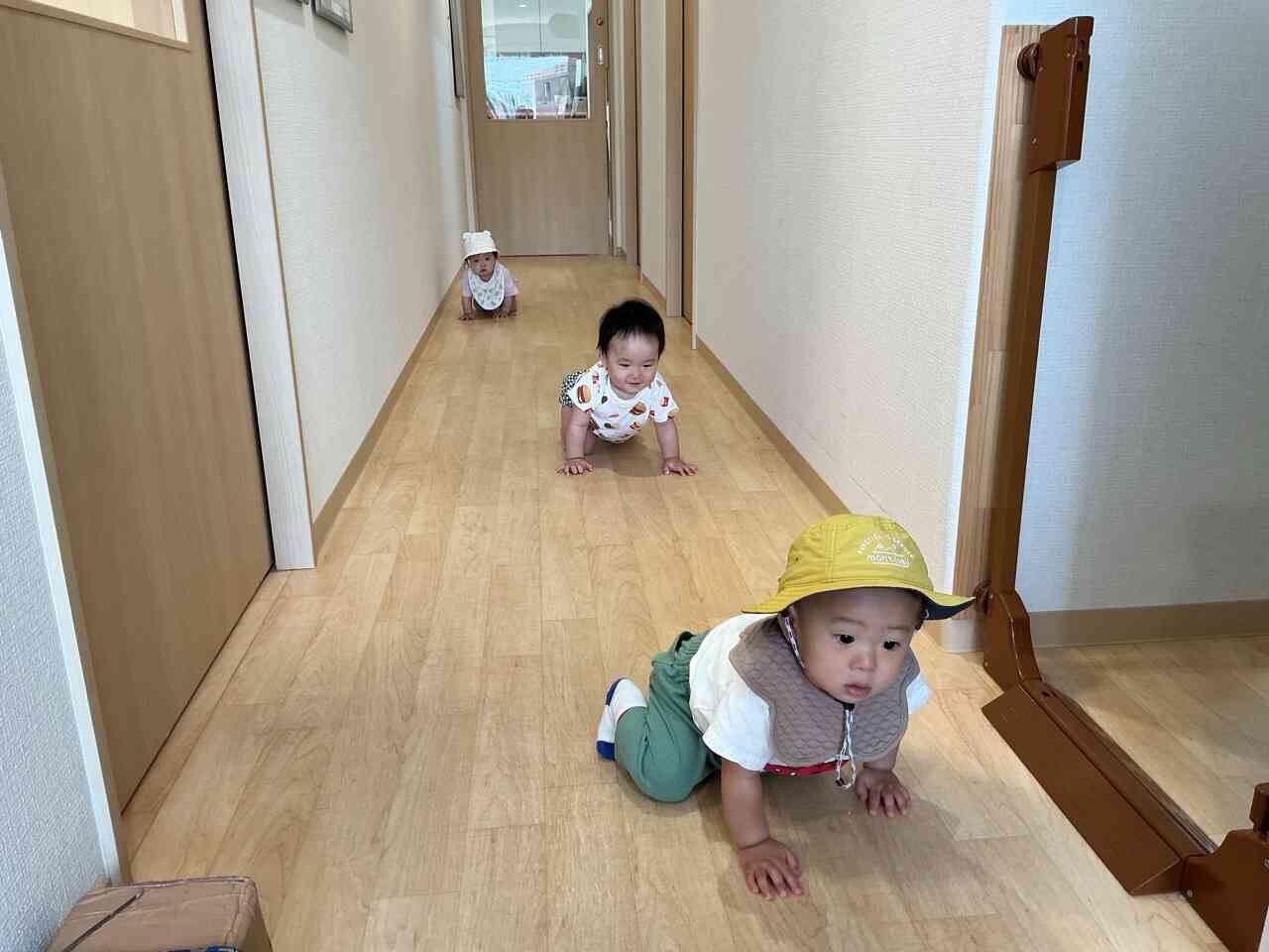 よ〜いどん