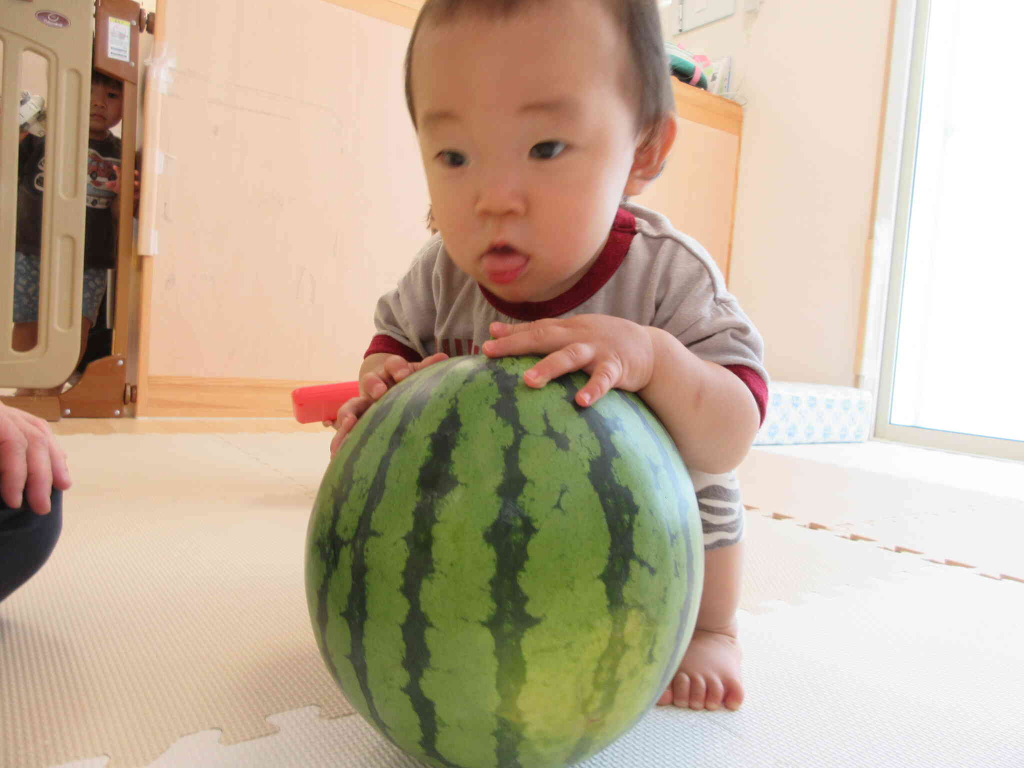 お顔よりも大きいね