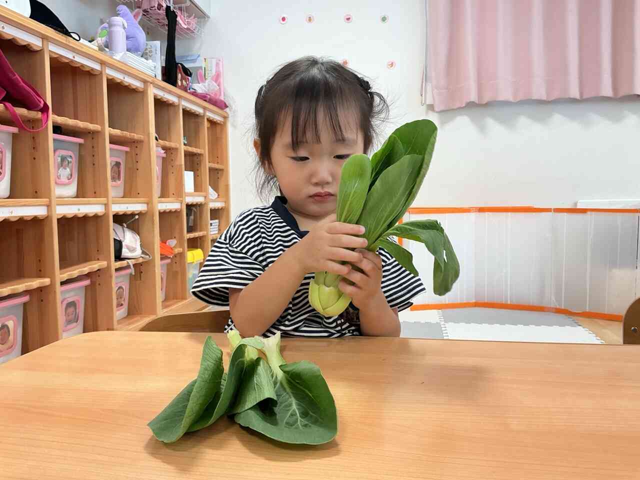 野菜に触れてみよう【食育】