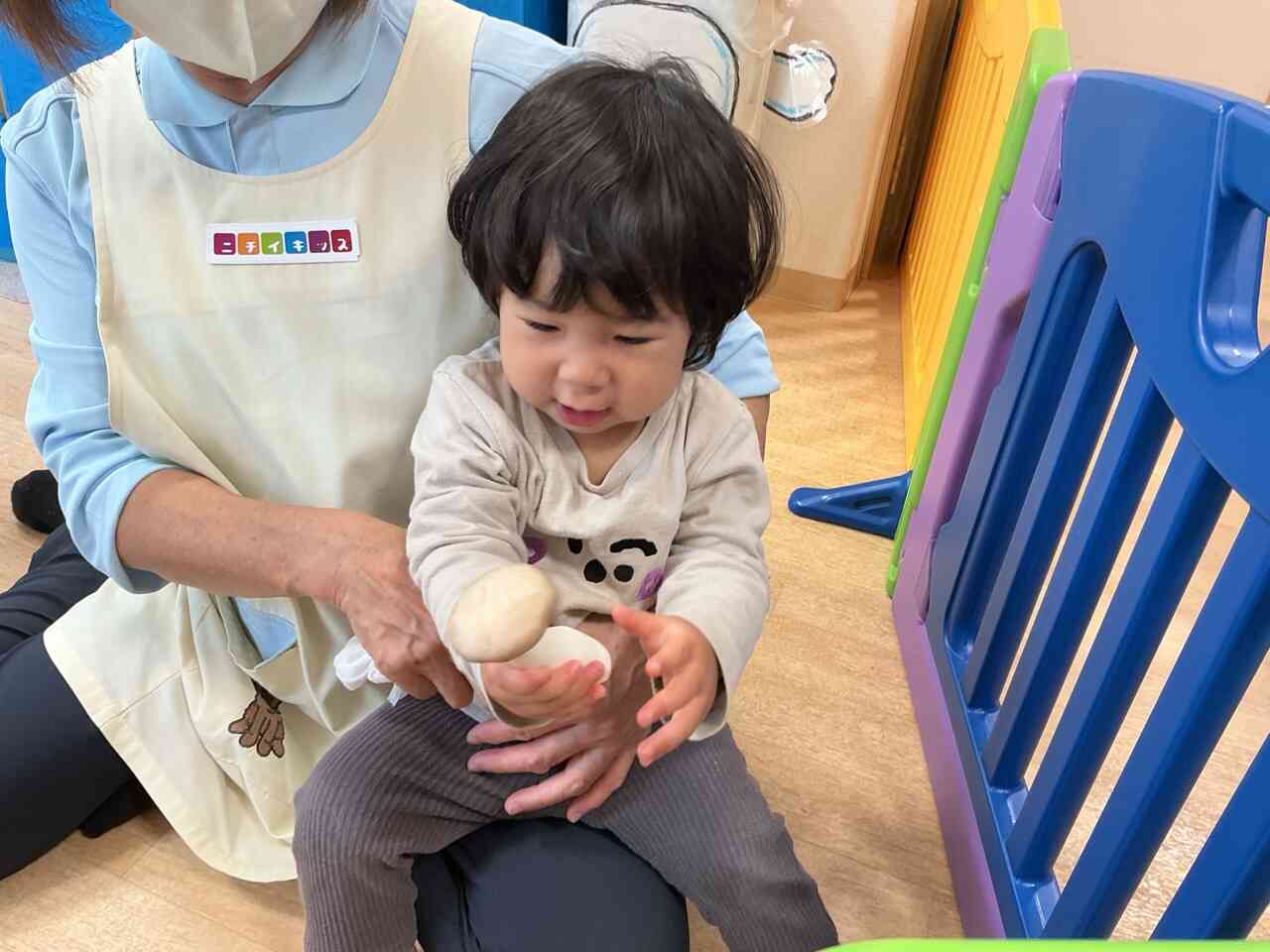 このキノコ大きい！エリンギだね