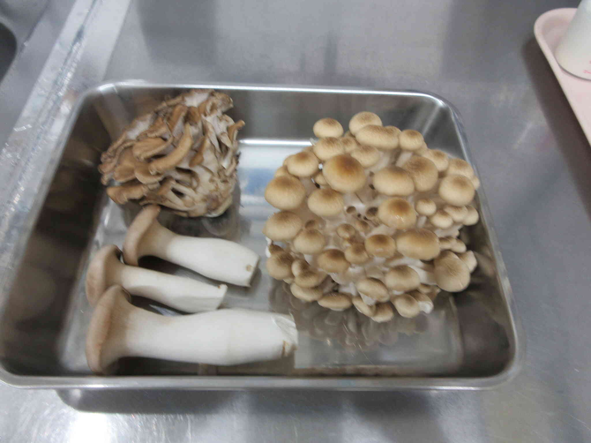 すべて長野県産です