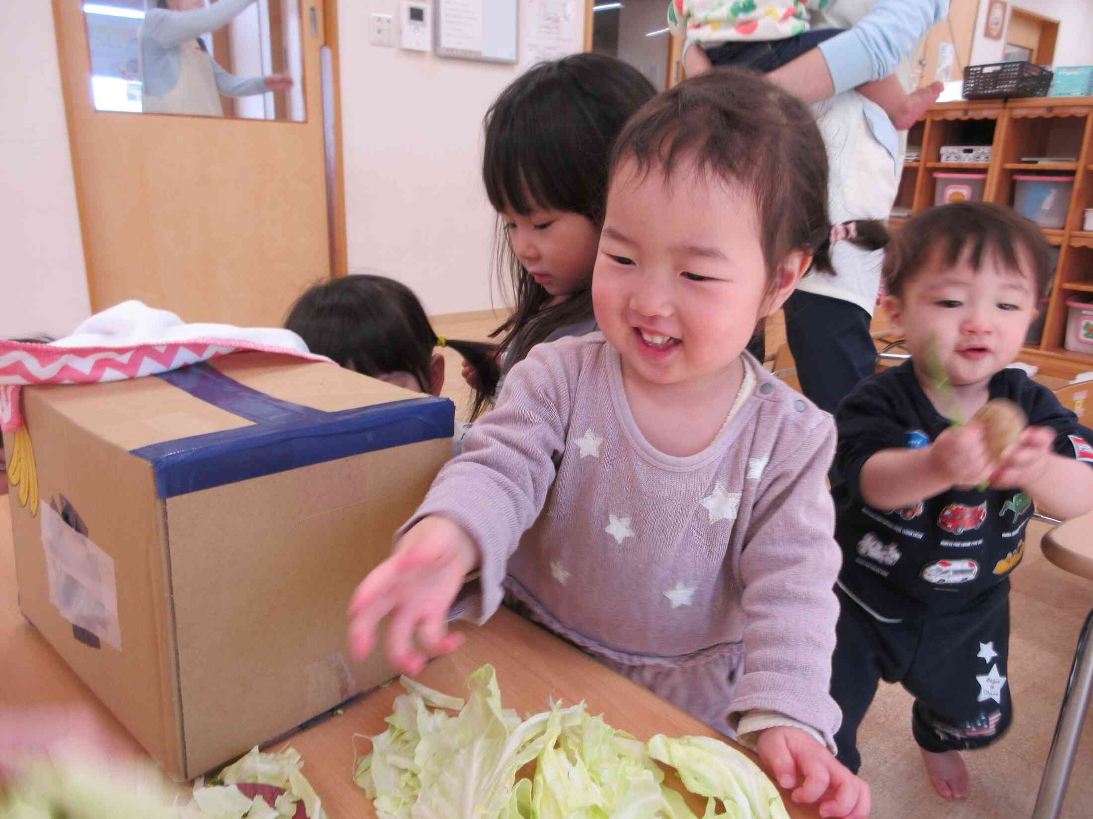 はてなボックスの中から出てきたのは…大きな大きなキャベツでした。ちぎってみたよ♡