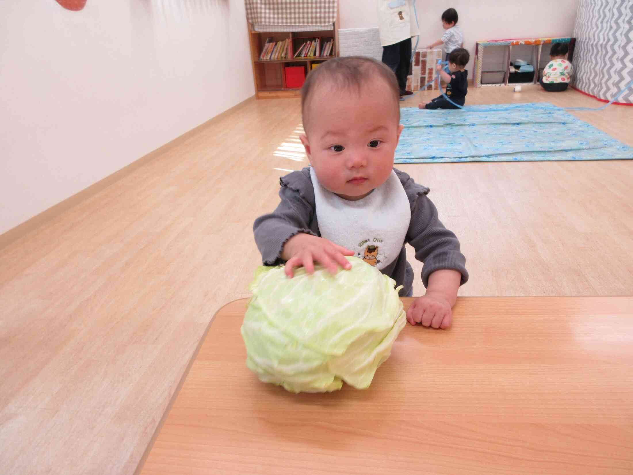 ひよこ組(0歳児）さんも触ってみたよ☆