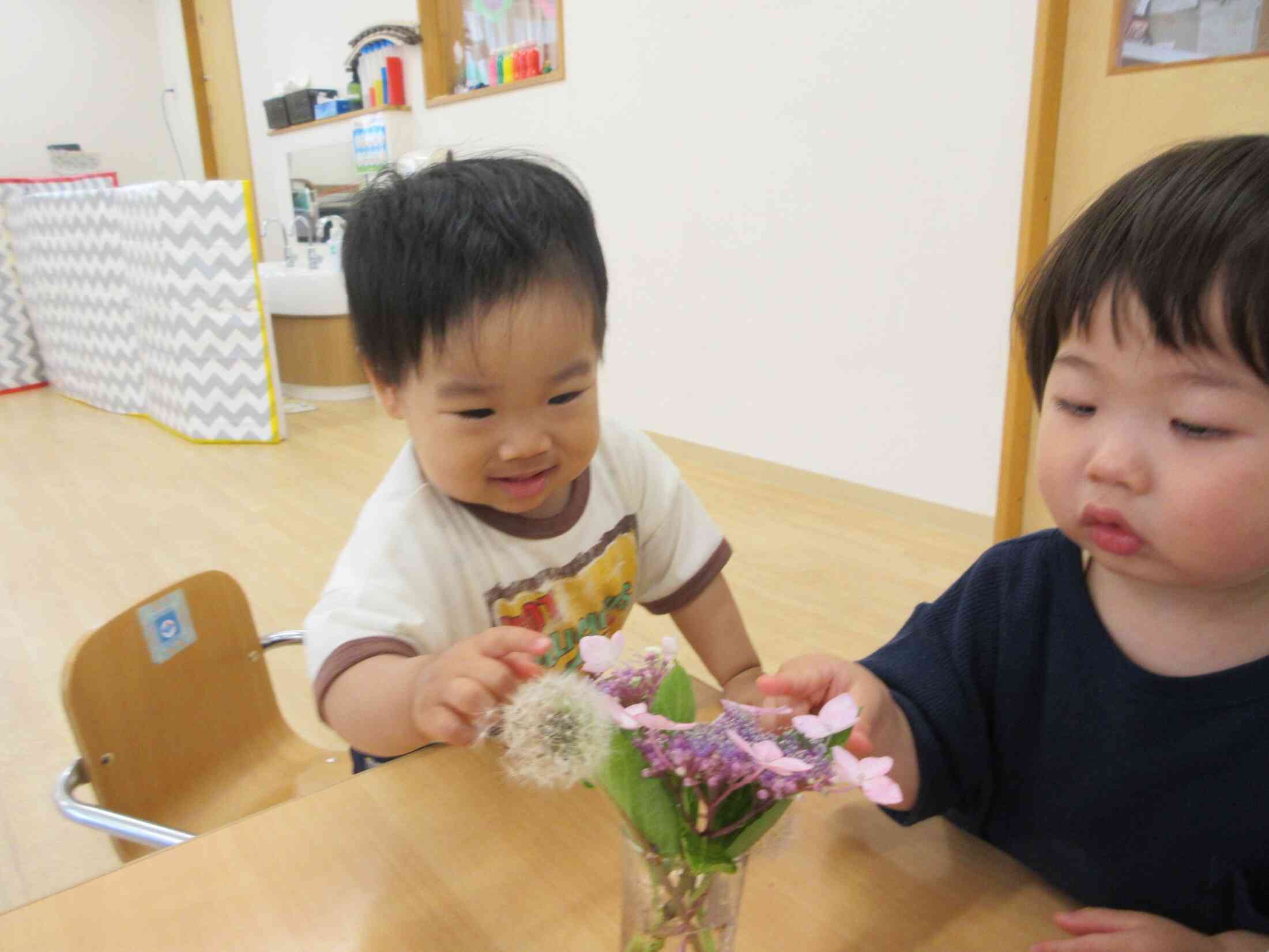 これは何だろうね？季節のお花を観察中です♪♡あじさいの花びらをパックに入れてお水に浮かべてみましたよ。