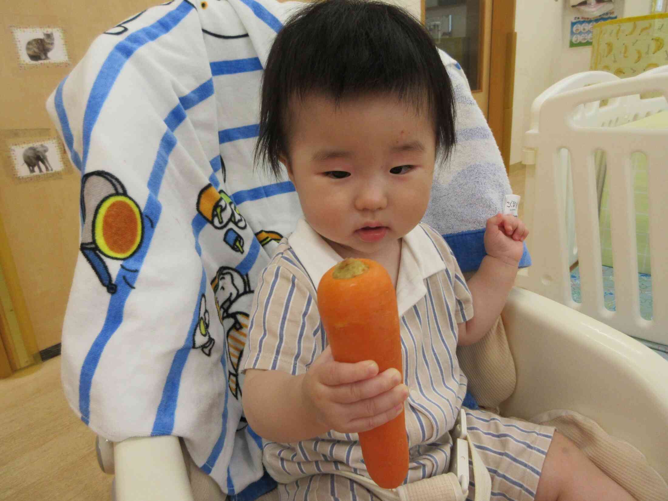 「これがにんじん？」