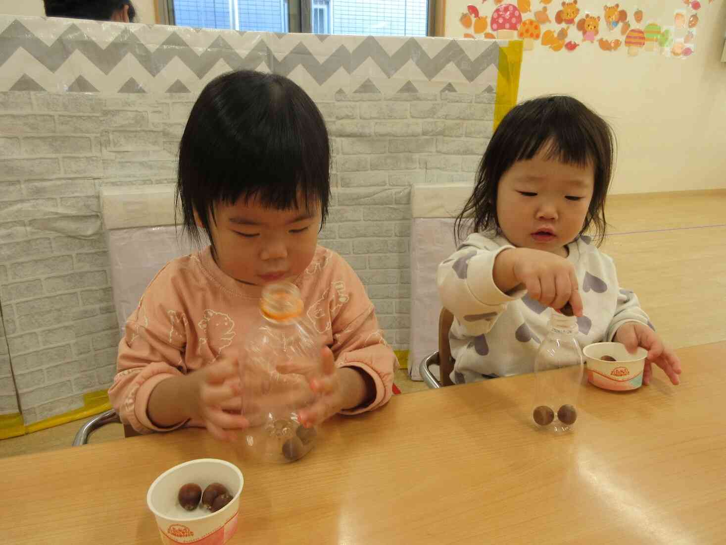 ～ペットボトルにドングリを入れよう！～