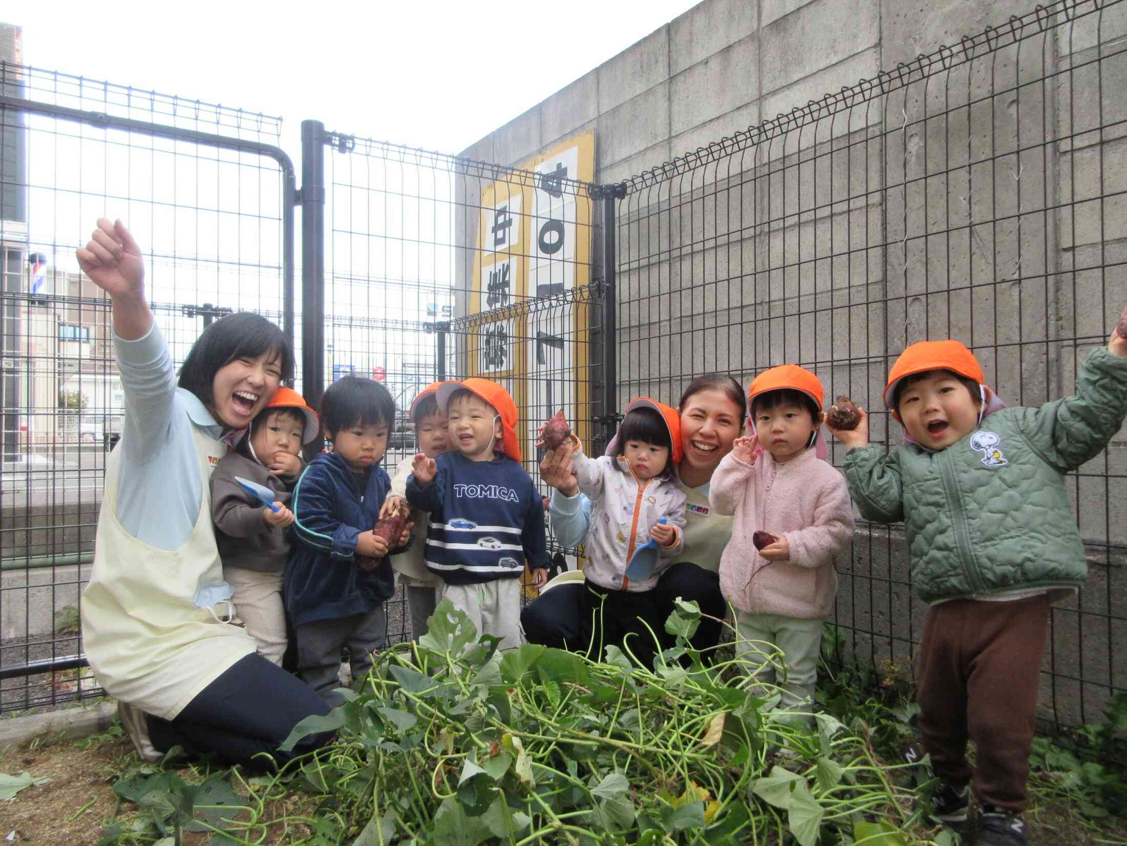 おいもほったぞ～‼