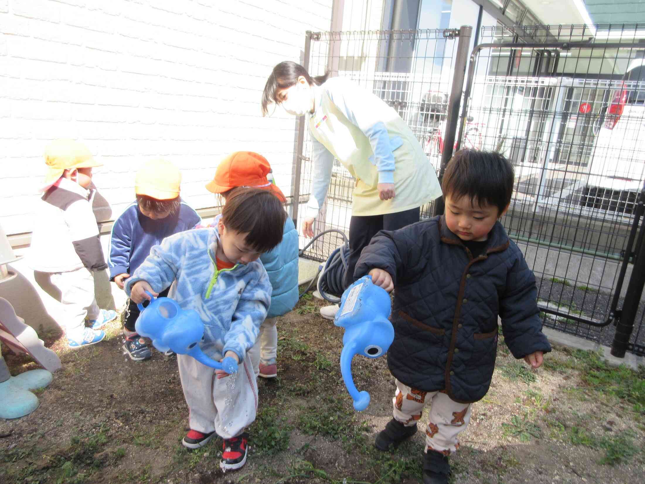 玉ねぎさ～ん　大きくなってね！