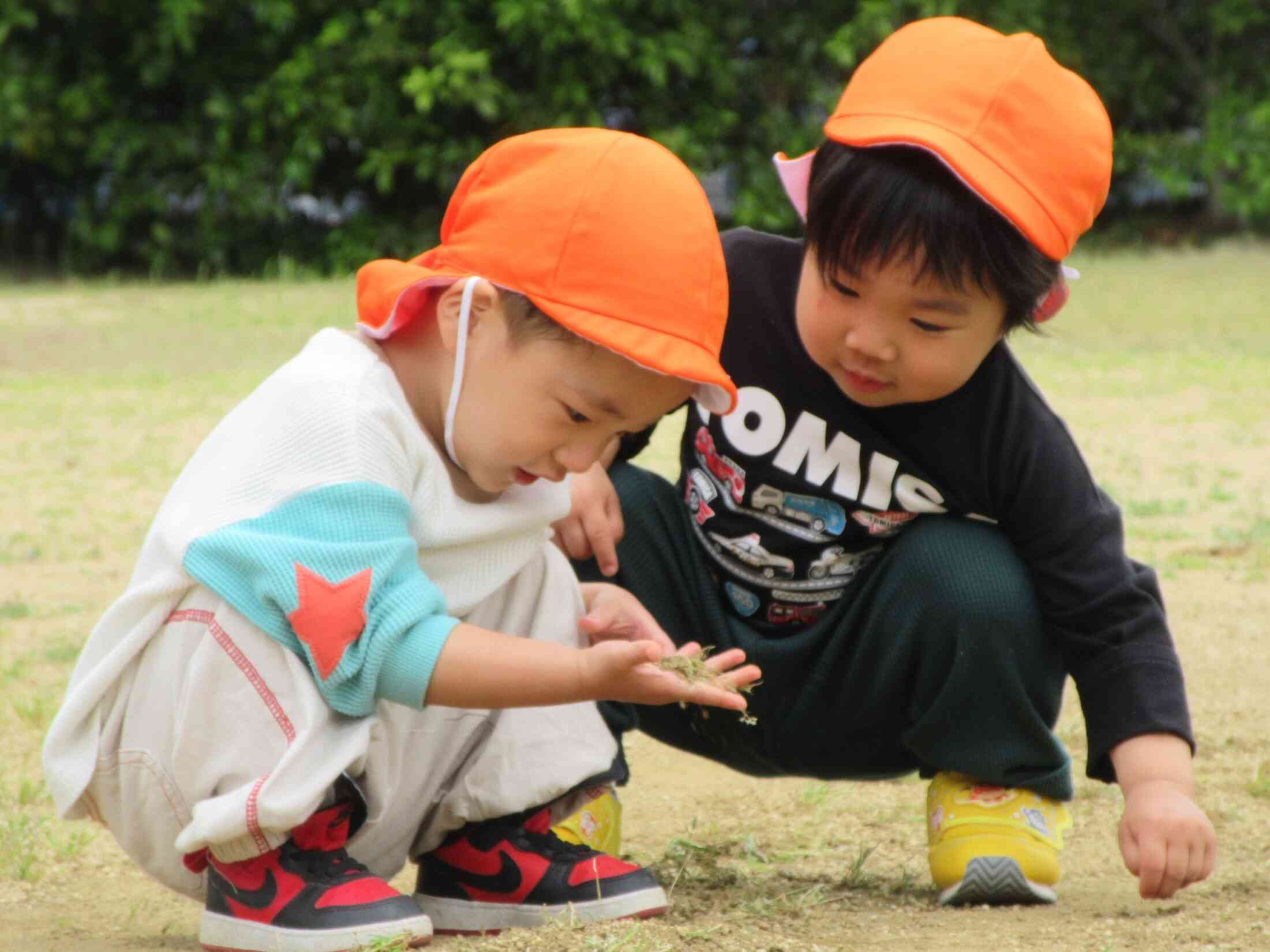 なにか見つけたようですよ♫大好きなお友だちと一緒!(2歳児)