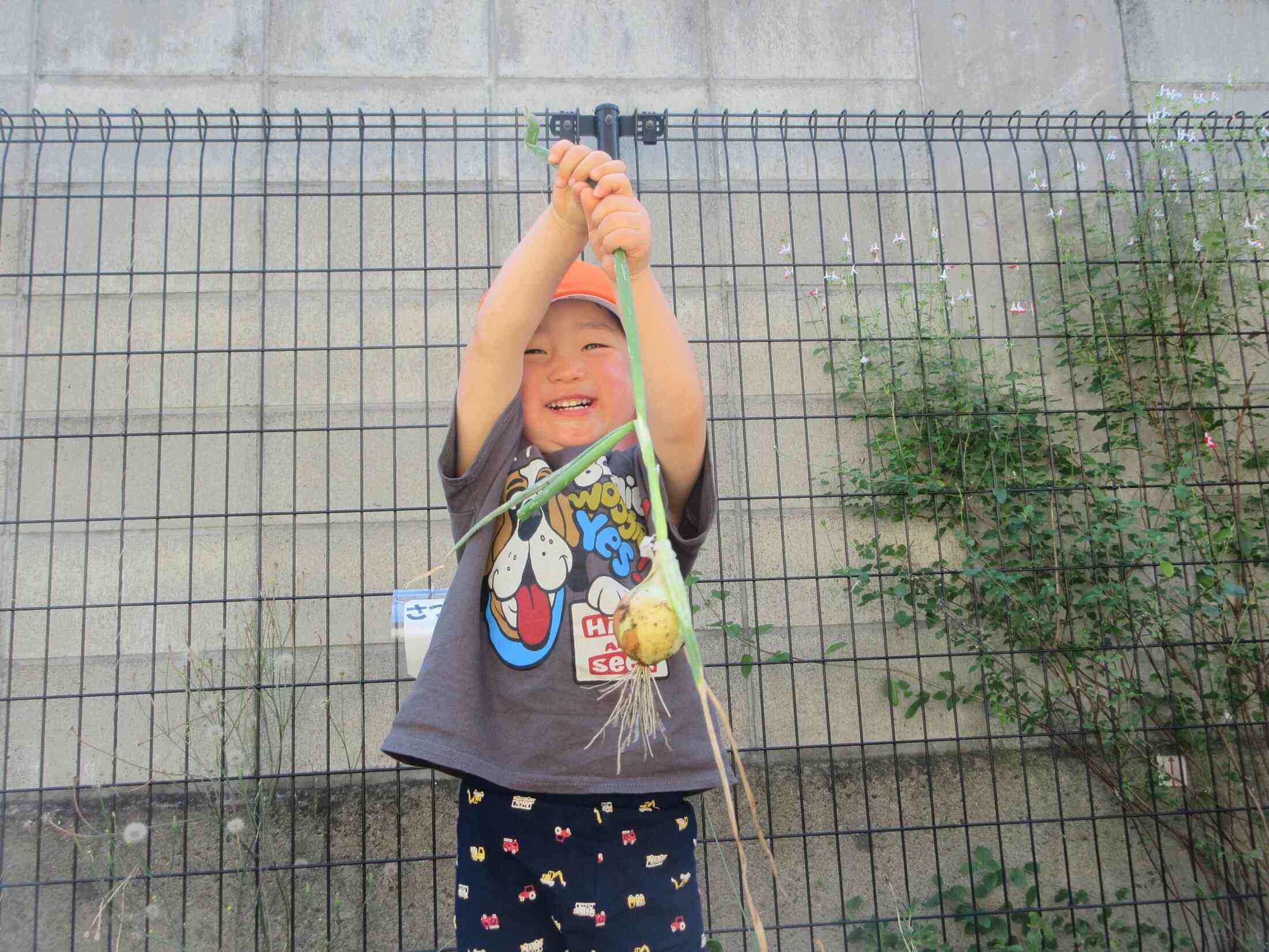 すっぽーん!採れたよー!