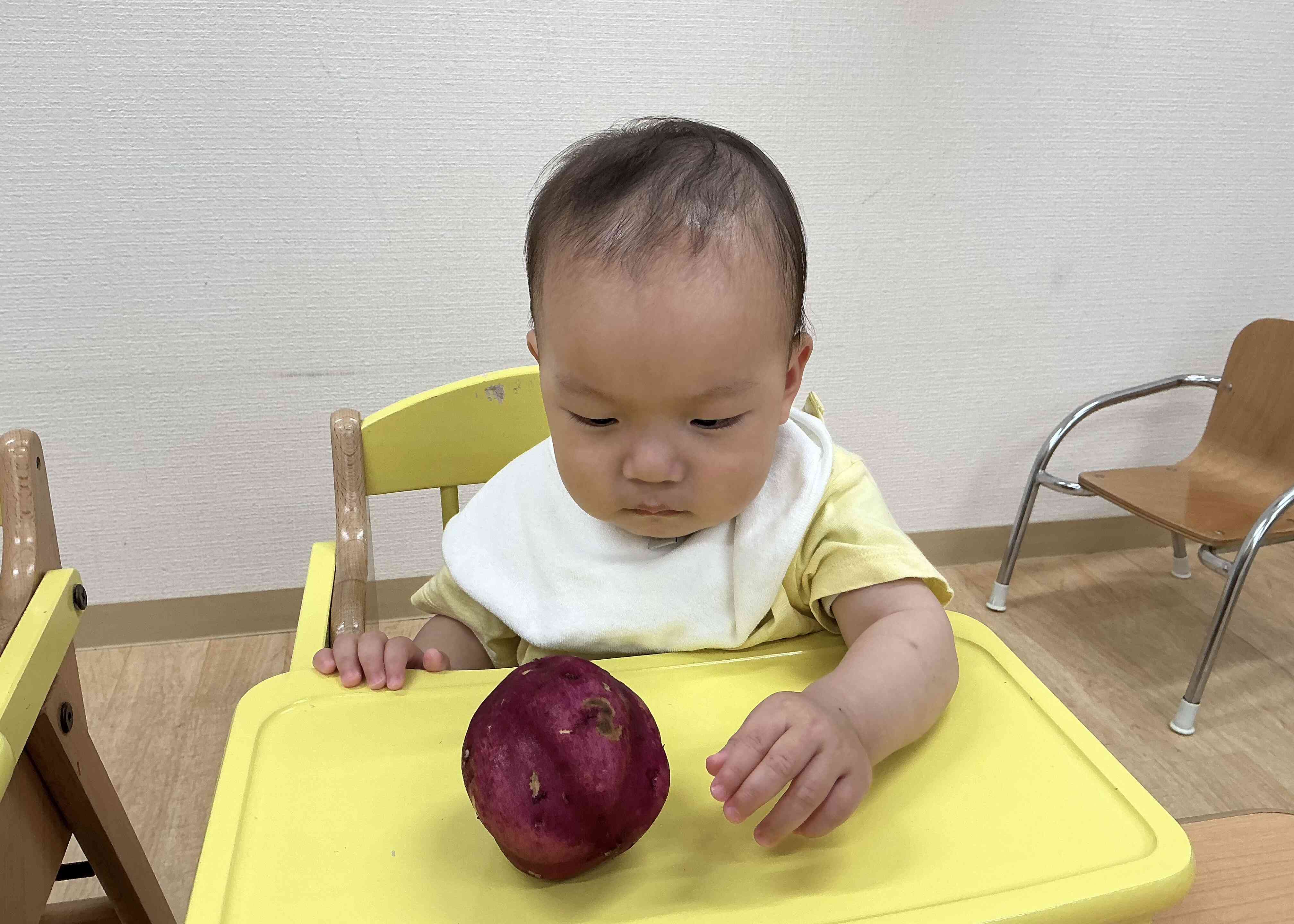 ちょっぴり警戒しながらも気になる様子…。