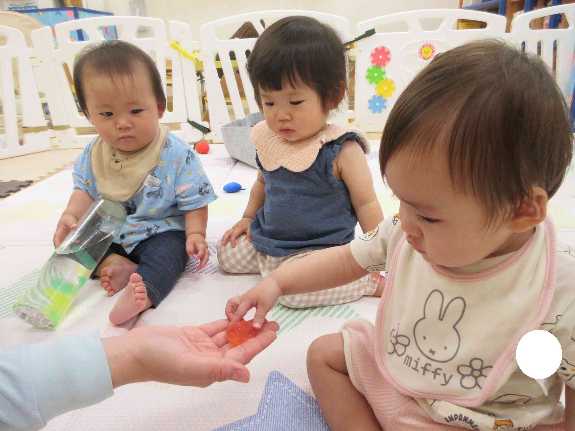 ひよこ組さんの日常(0歳児)