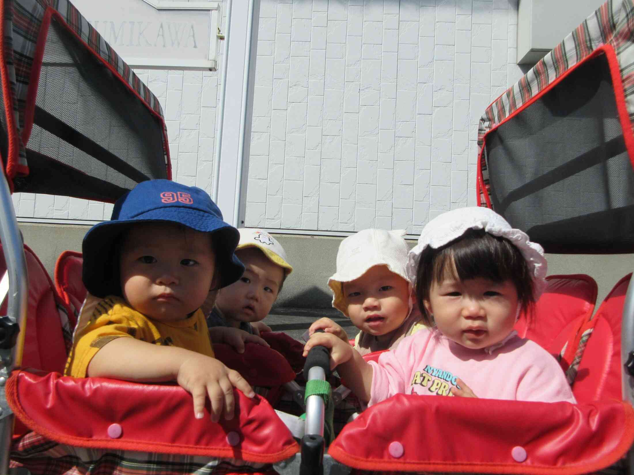 秋、見つけた！みんなで楽しいお散歩♪　ひよこ組(０歳児)