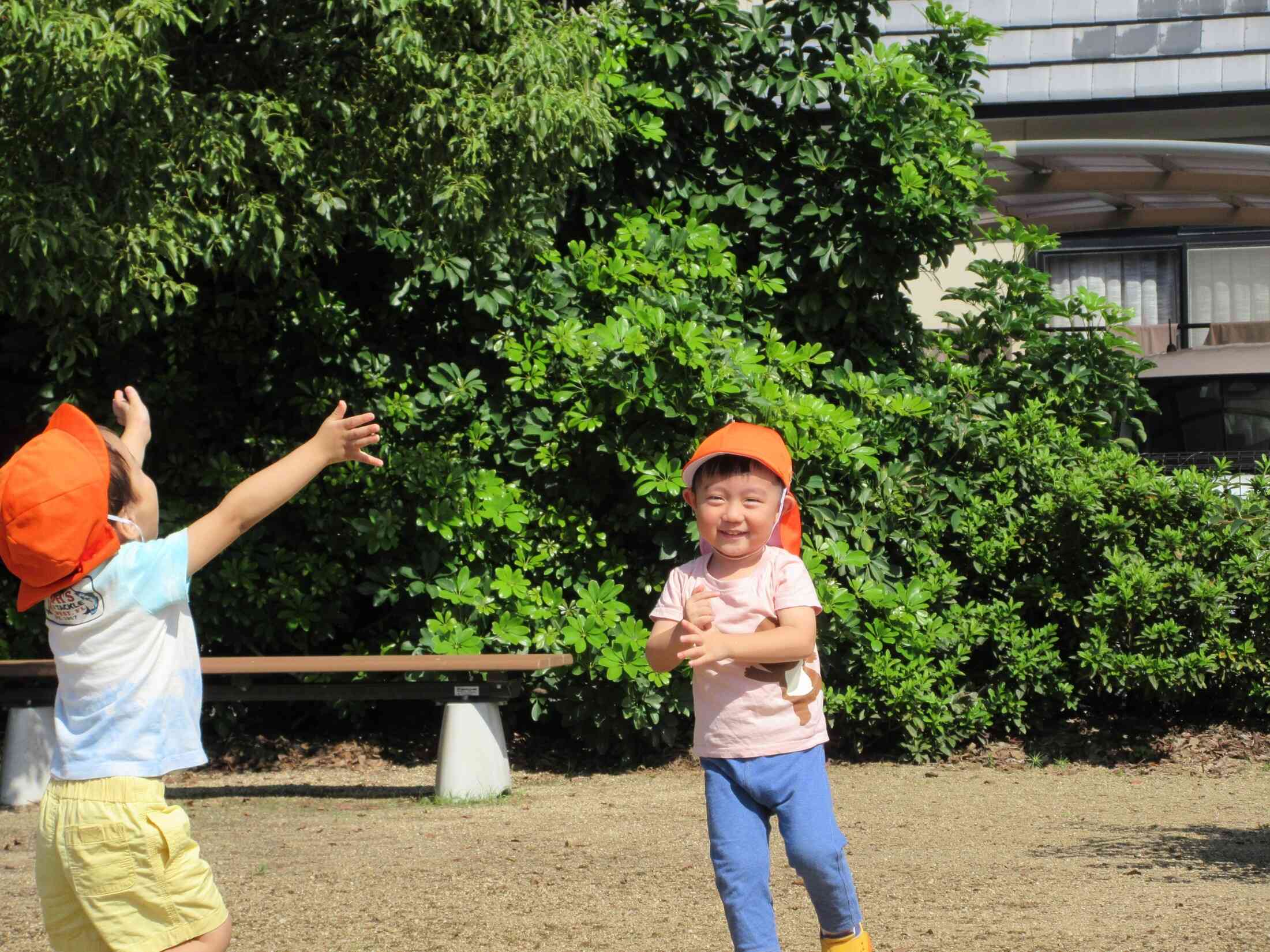 とんぼとおいかけっこ!
