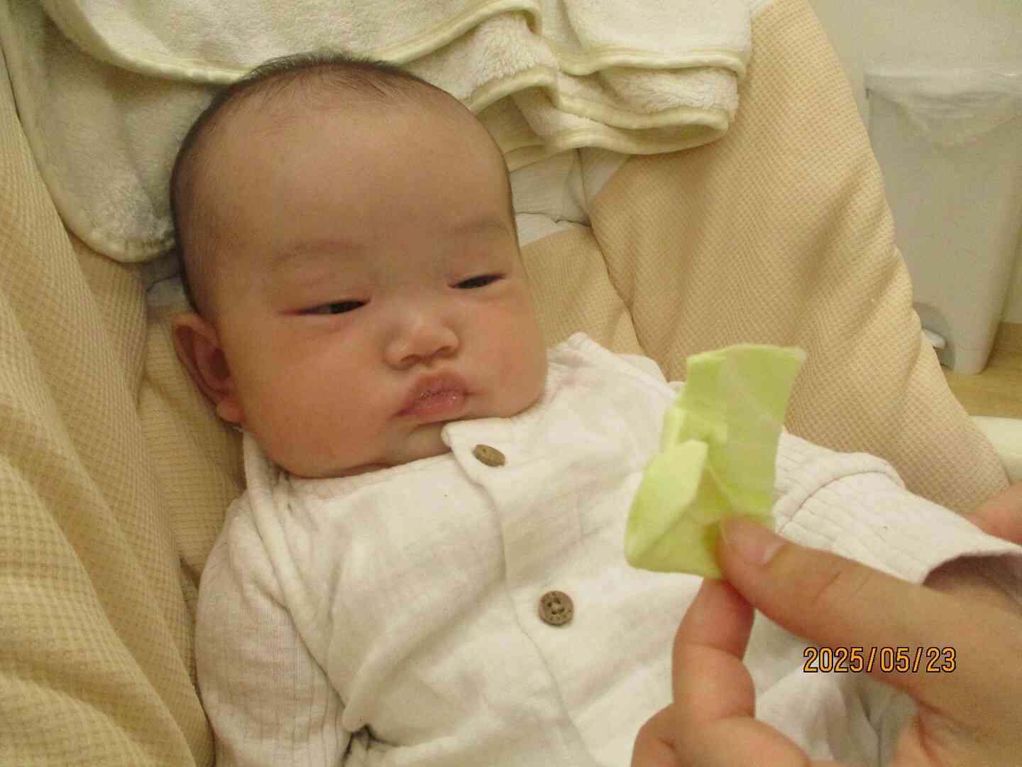 ひよこ組（0歳児）のお友だちも興味津々！