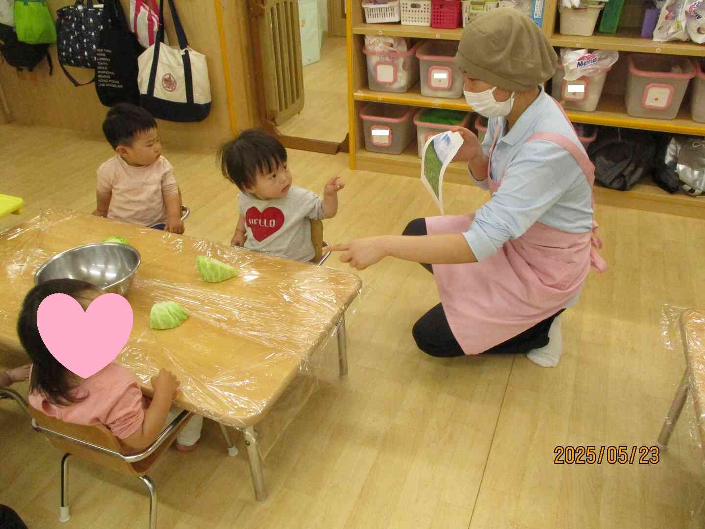 キャベツに触れよう！（食育・0.1.2歳児）