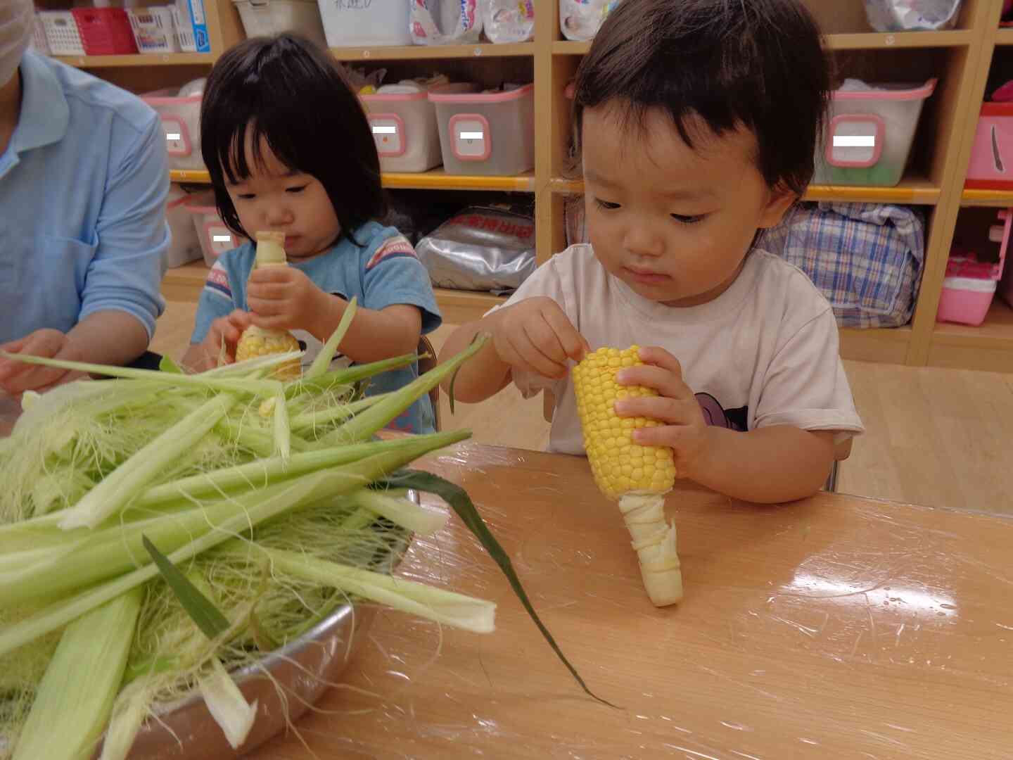 とうもろこしのつぶに触れてみよう!