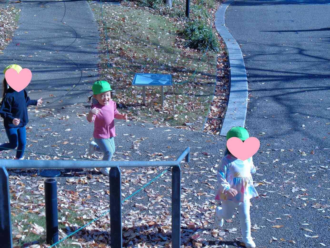 たくさん走って元気いっぱい☆