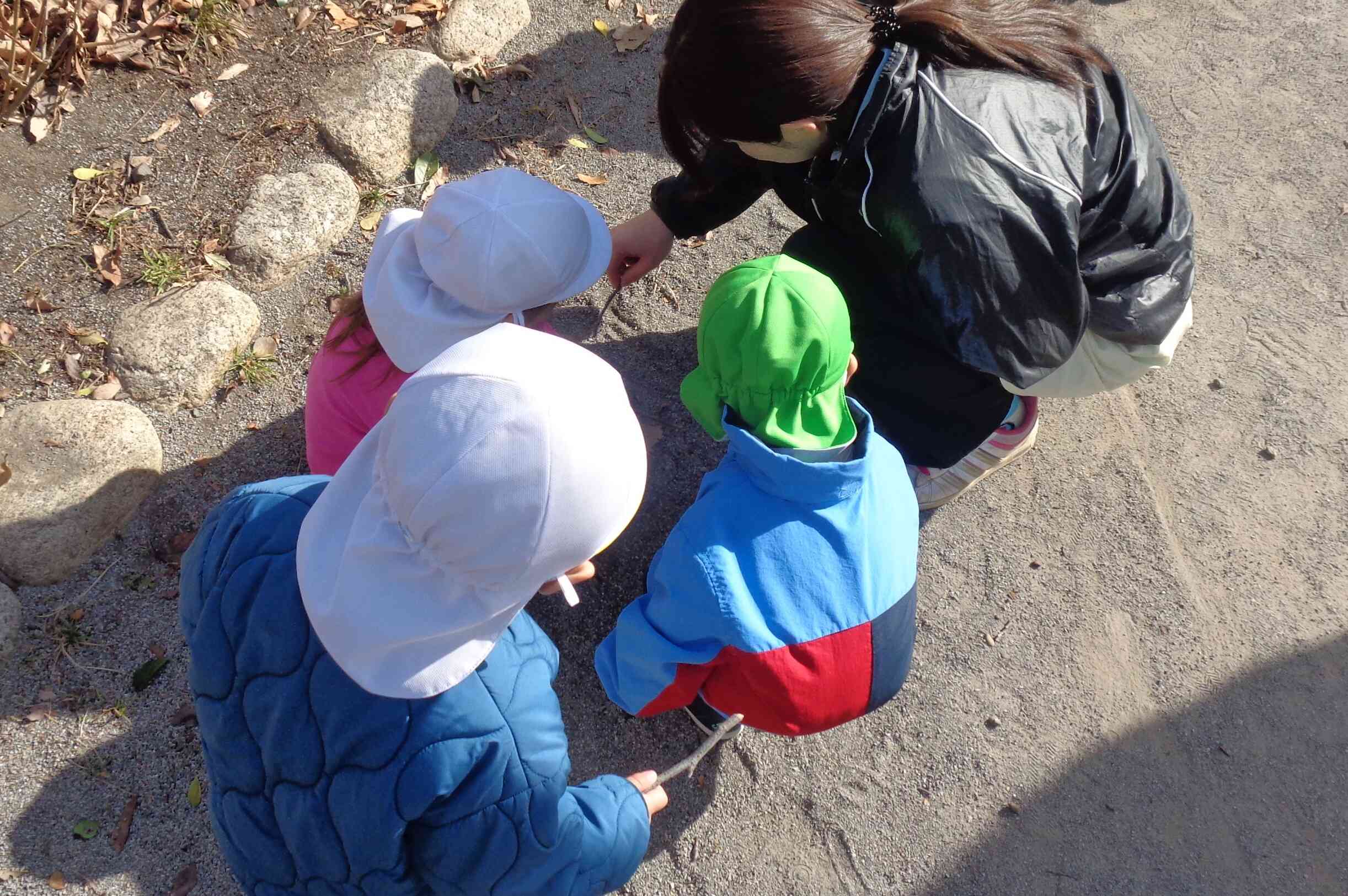 新たな広場を開拓！(0.1.2歳児、全クラス)