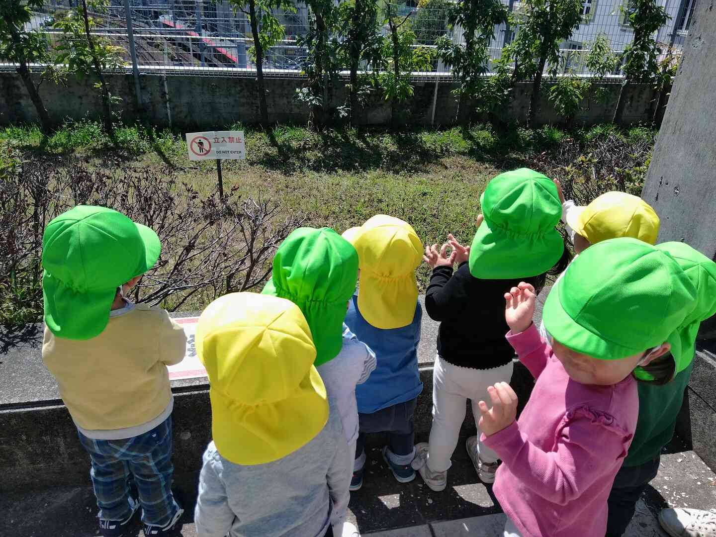 みんなでそろって電車観察！通り過ぎる電車に目を輝かせています♩