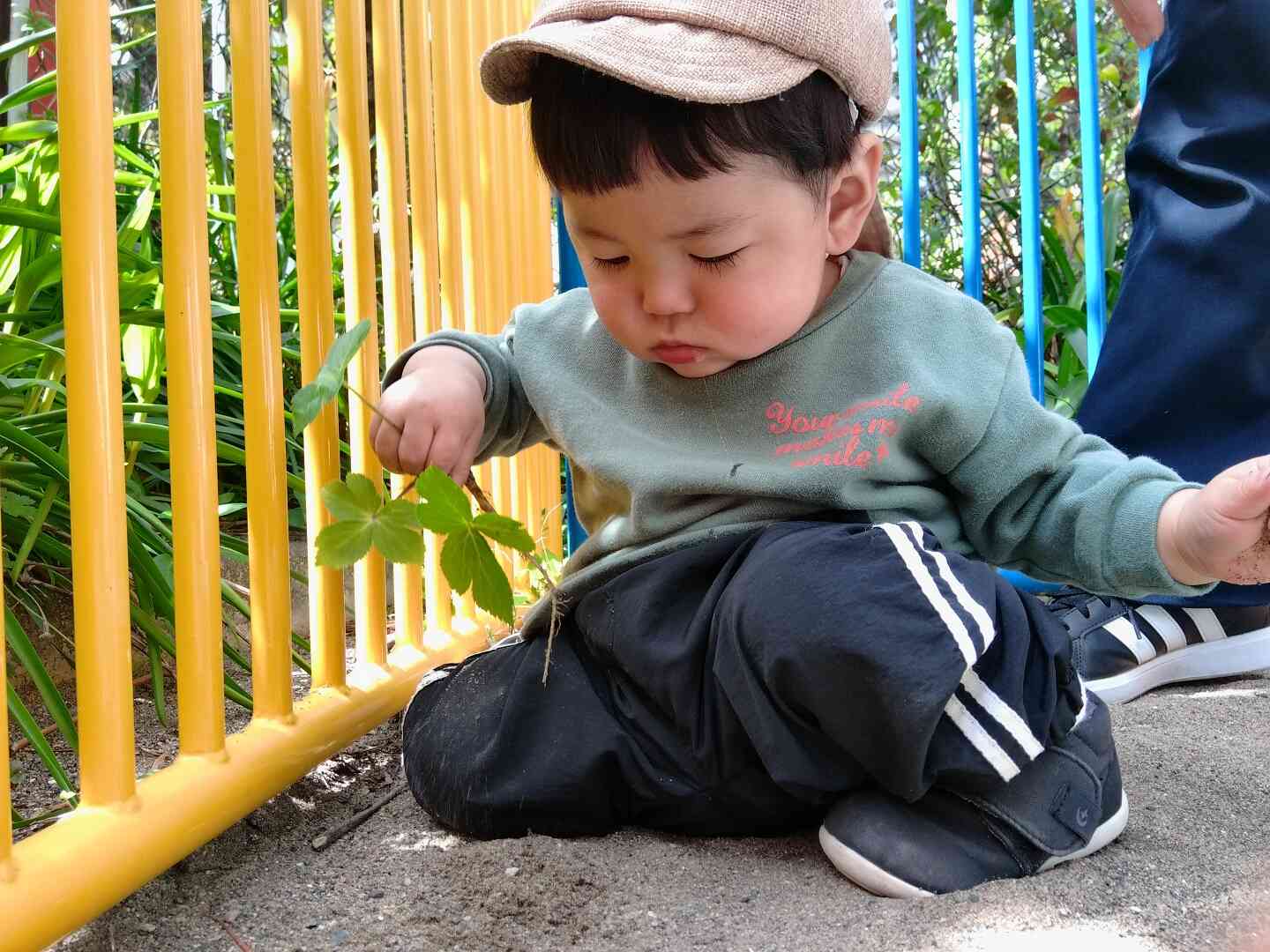 はじめての葉っぱ遊び