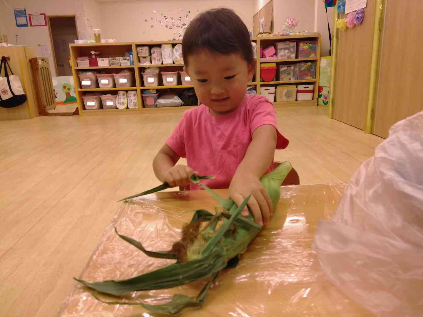 みんなでとうもろこしの皮をむいてみたよ♪（0・1・2歳児　全クラス）