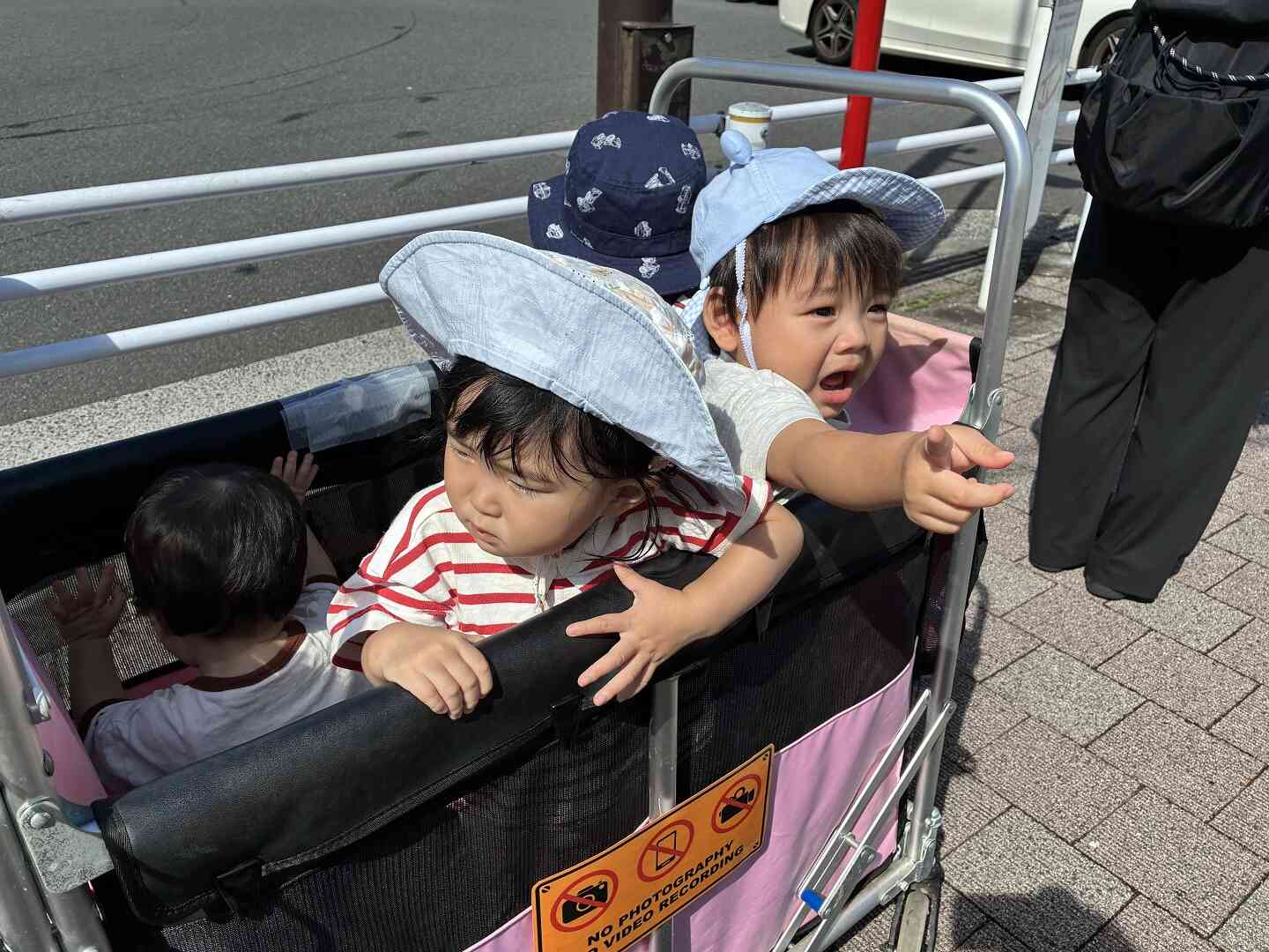 バスを見つけたよ！