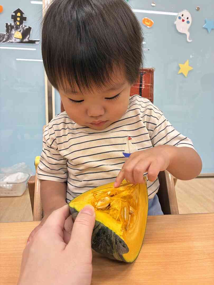 かぼちゃに興味津々!!