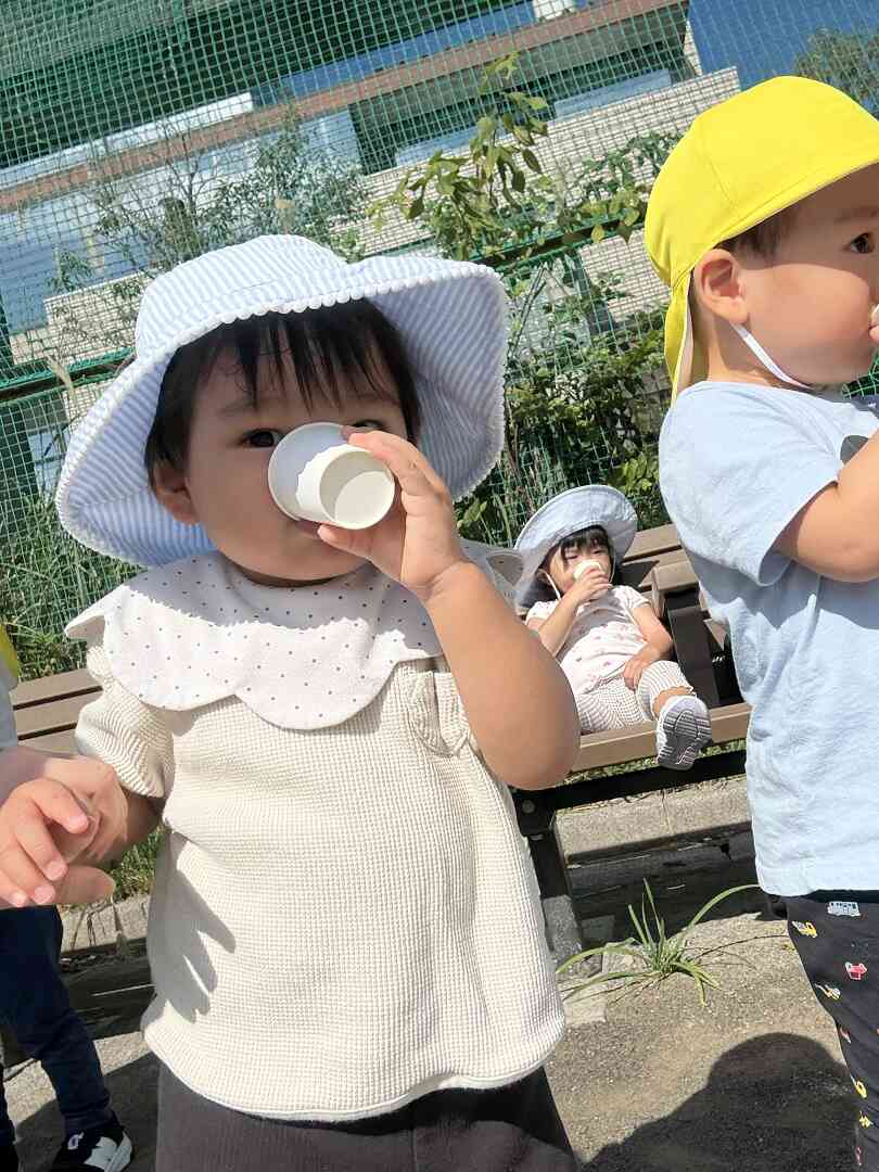 お茶をたくさん飲んでパワーチャージ完了！