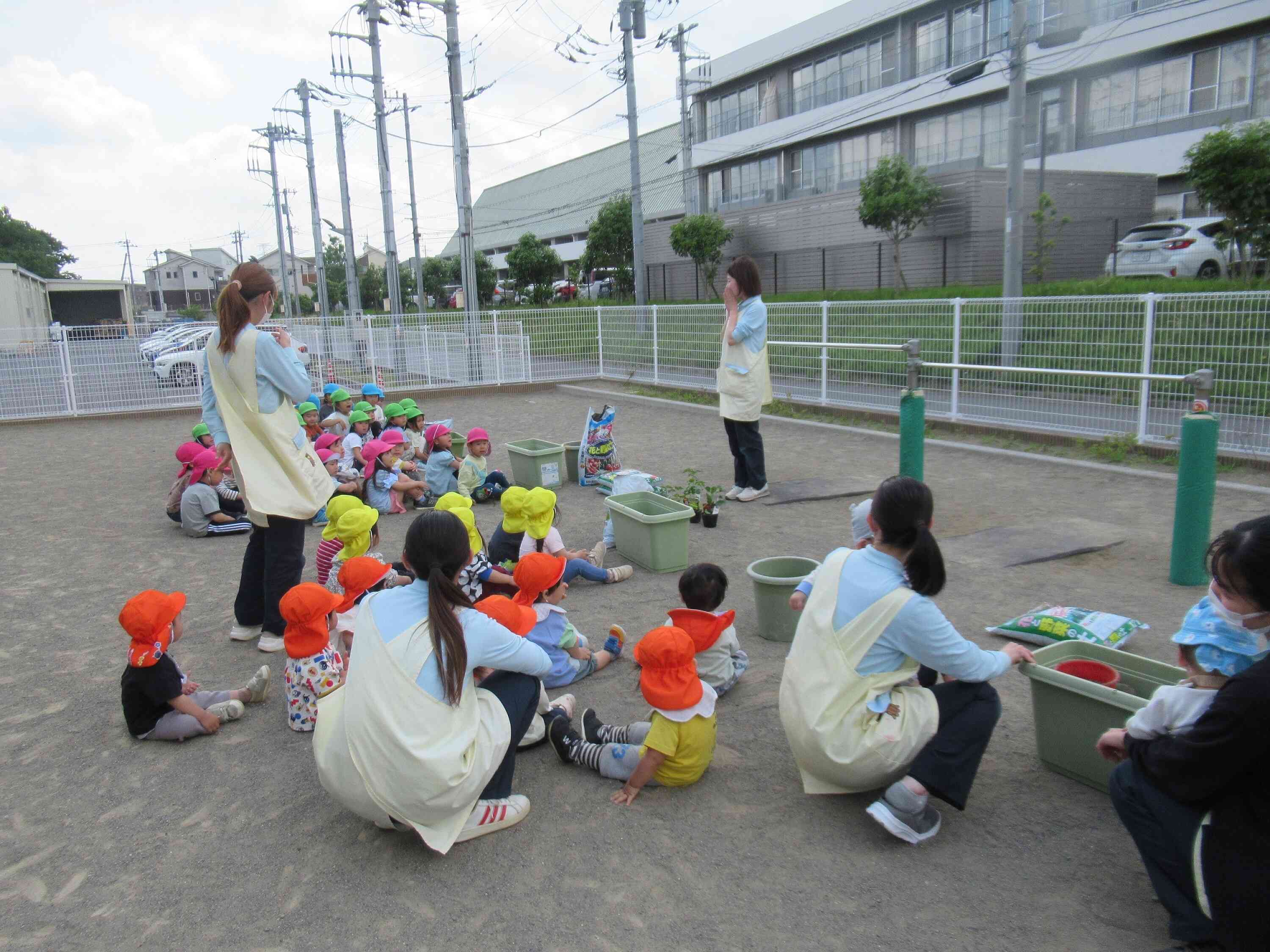 野菜の苗植え