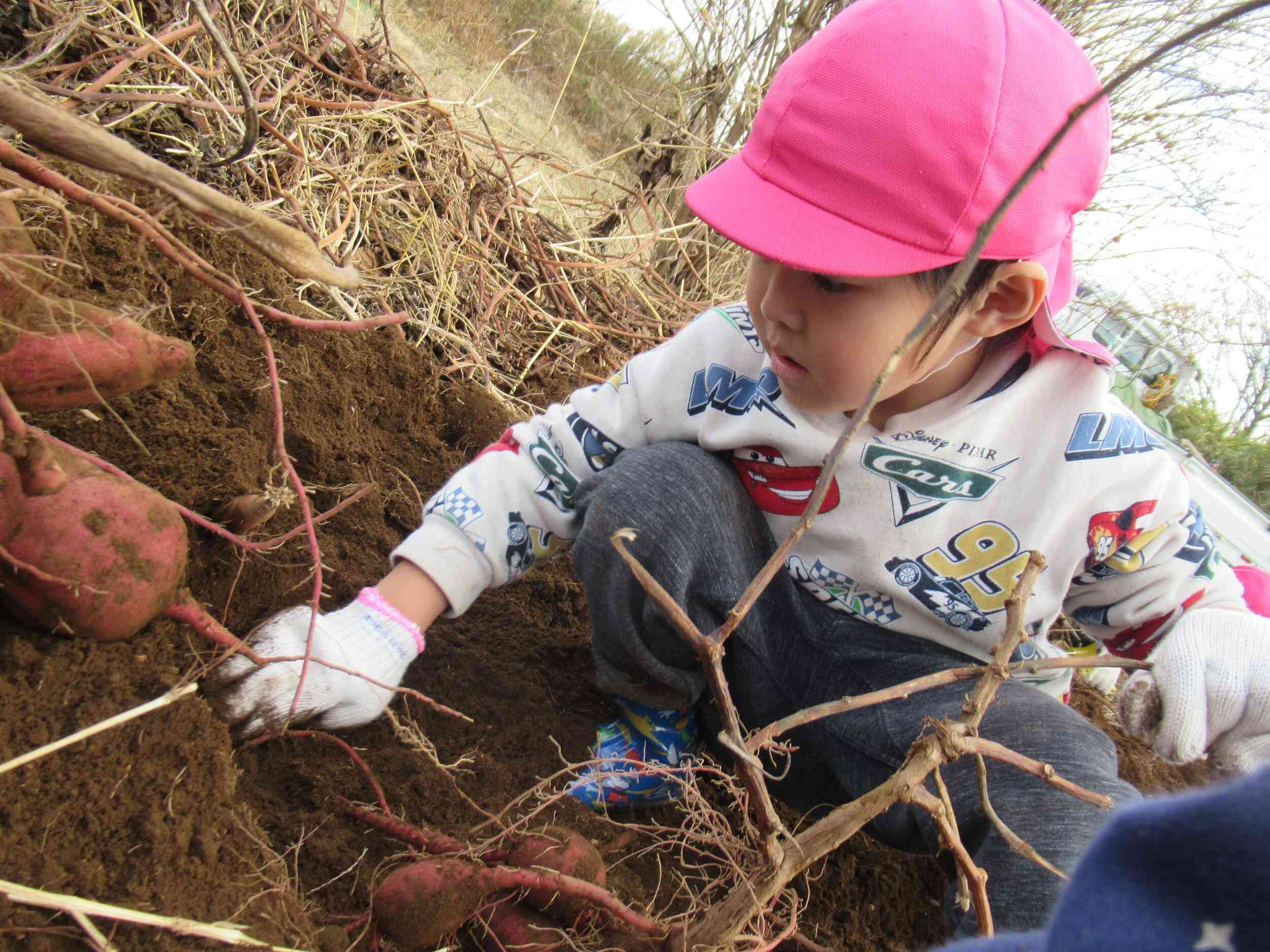 頑張って掘っているね！