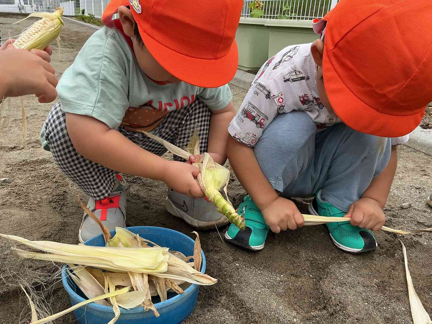 むきむき・・・