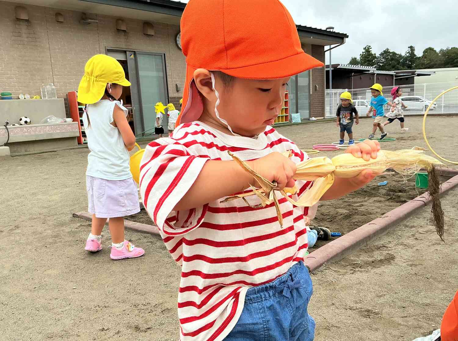 おヒゲがたくさんあるなぁ~