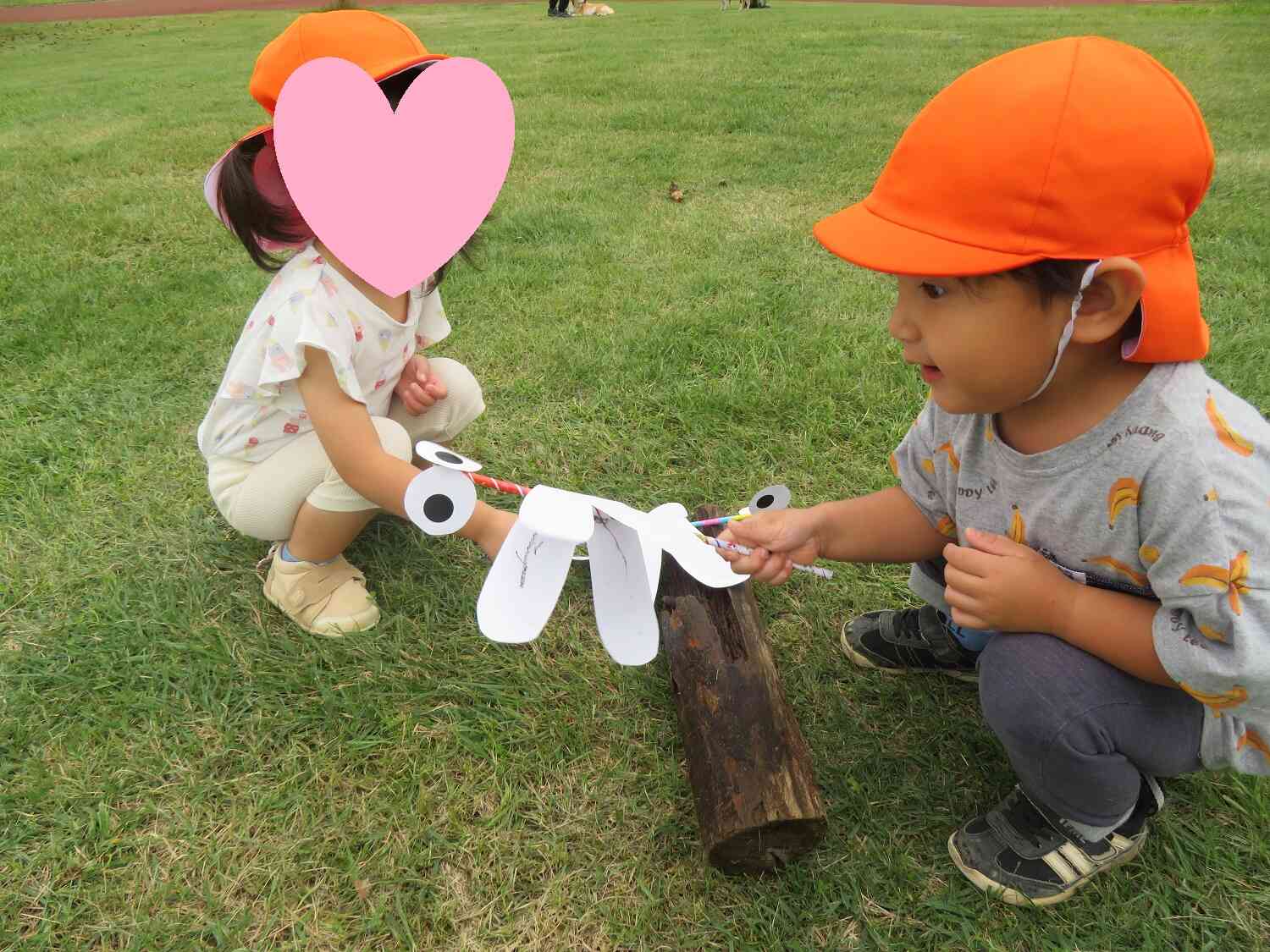 木にとまっているよ！