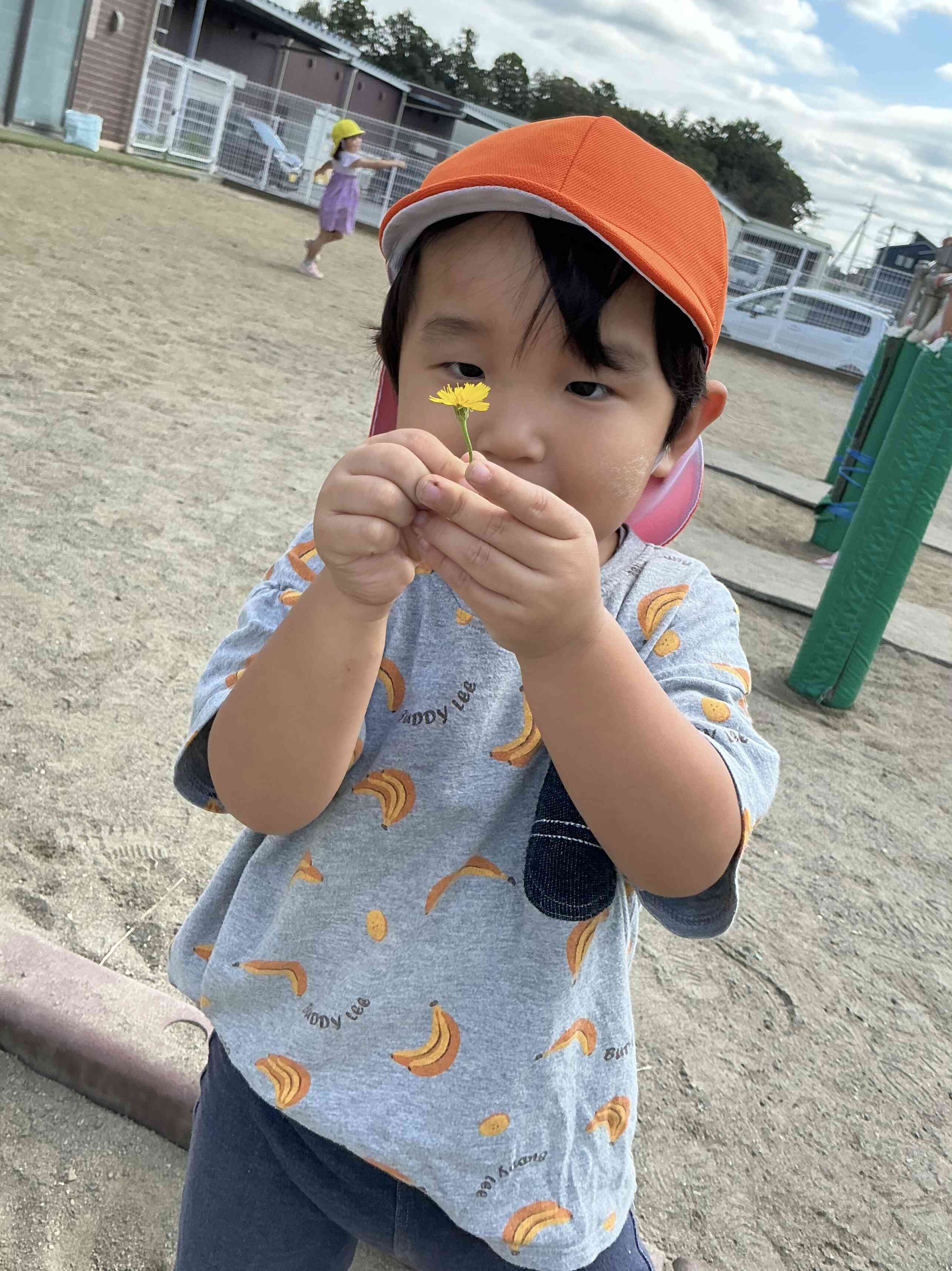 たんぽぽ見つけたよ！