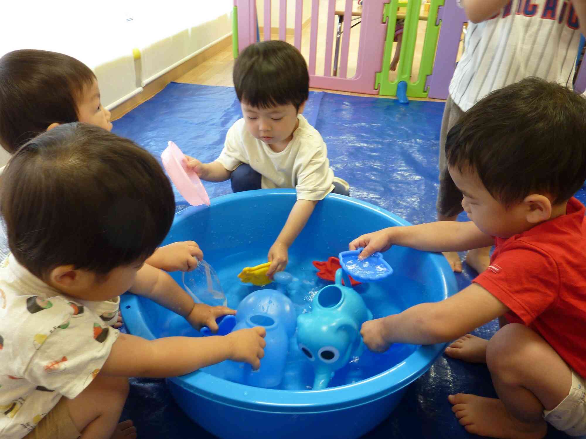 水遊び始めました！