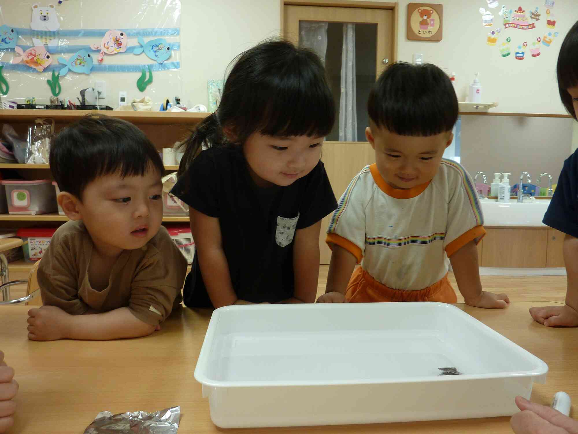 うさぎ組の挑戦‼