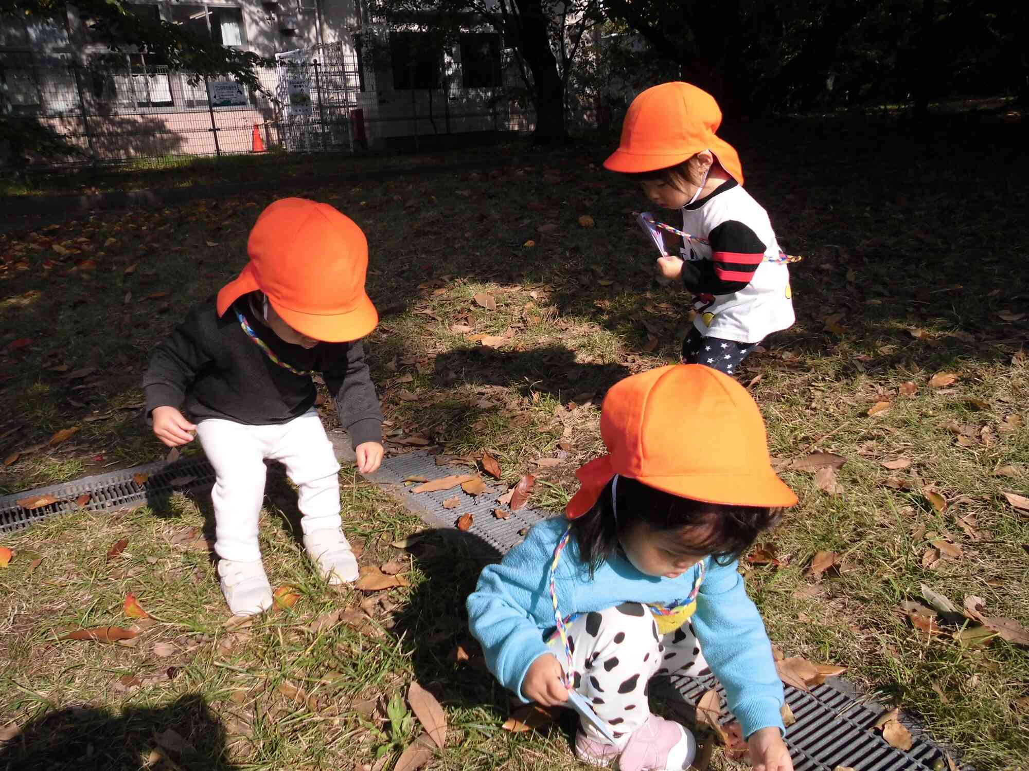 夢中で拾ってます。